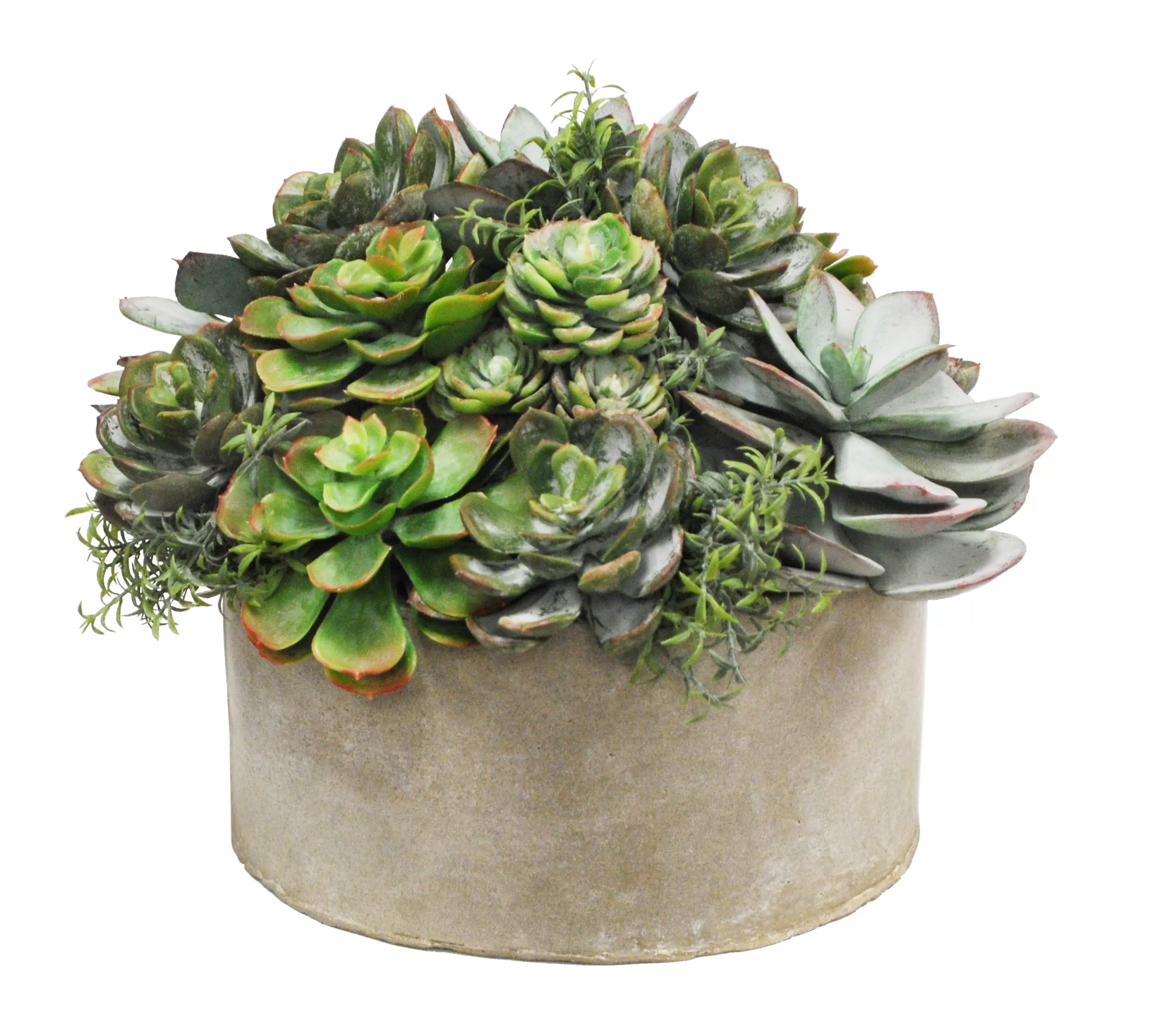 Hot MIX SUCCULENT GARDEN PLANTER (WHD217-GRTP) Succulent Arrangements | Tabletop