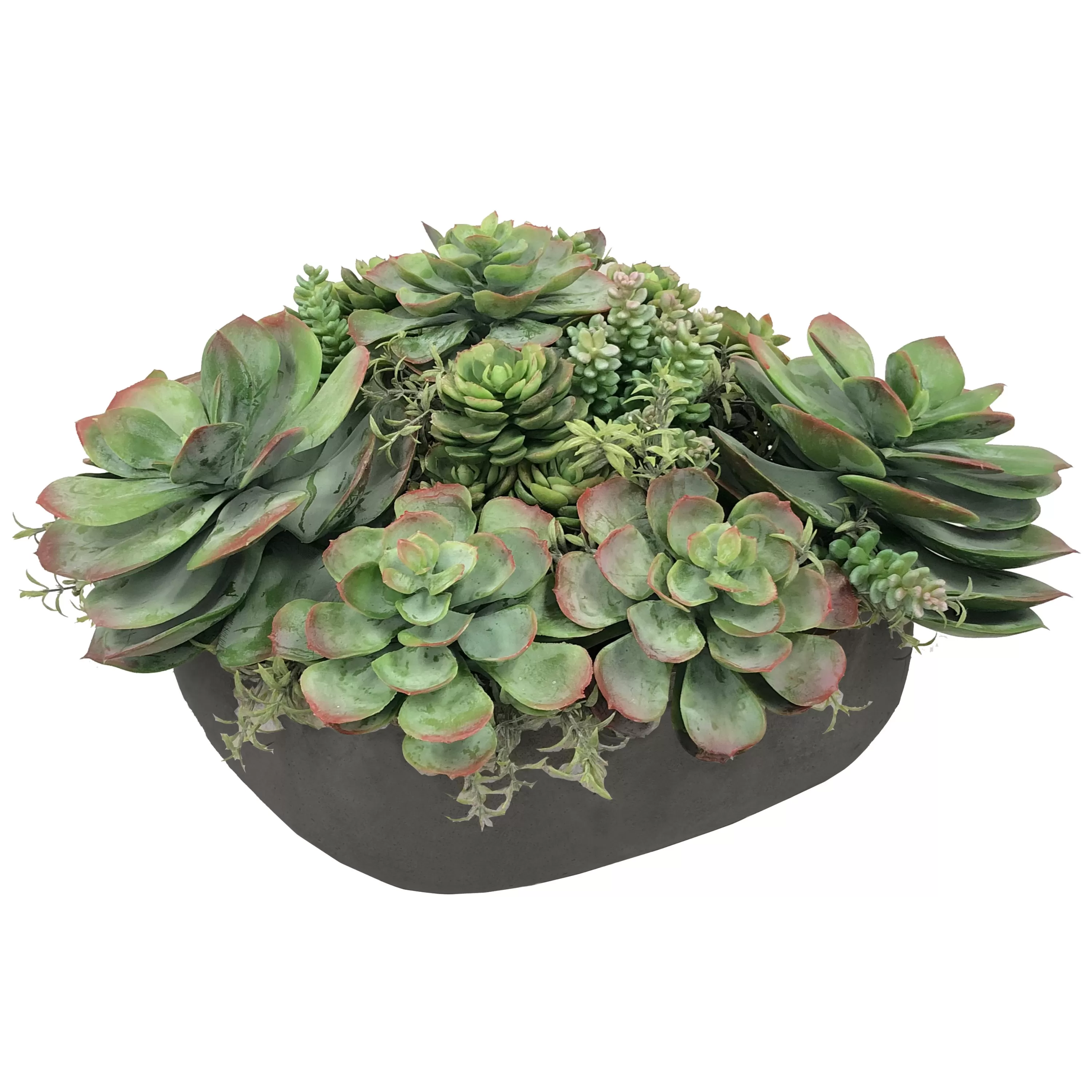 Flash Sale Mix Succulent in Casual Tray 11.5" Succulent Arrangements | Outdoor Patio