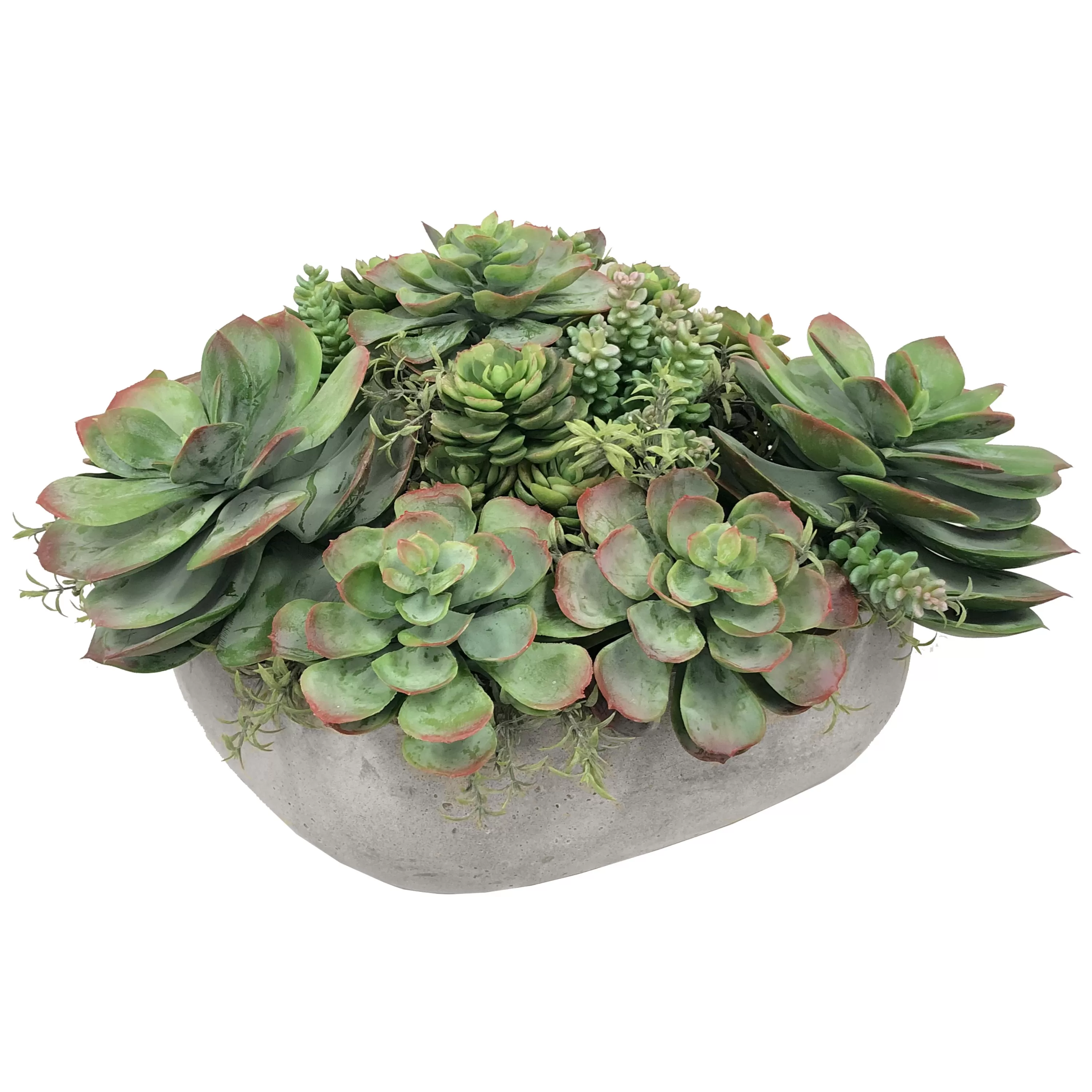 Hot Mix Succulent in Casual Tray 11.5" Succulent Arrangements | Outdoor Patio