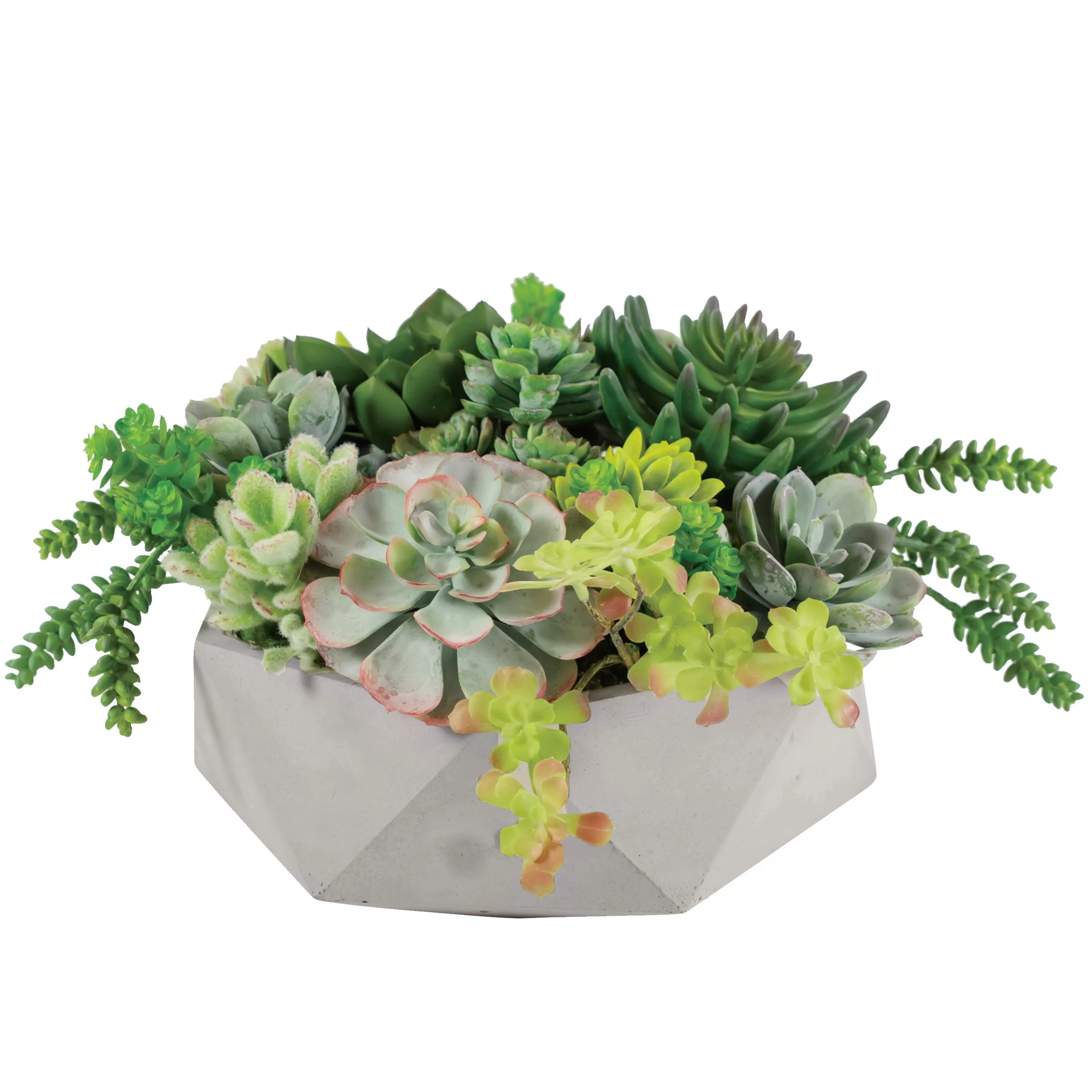 Clearance Mix Succulent in Hexagon Pot 9" Succulent Arrangements | Outdoor Patio