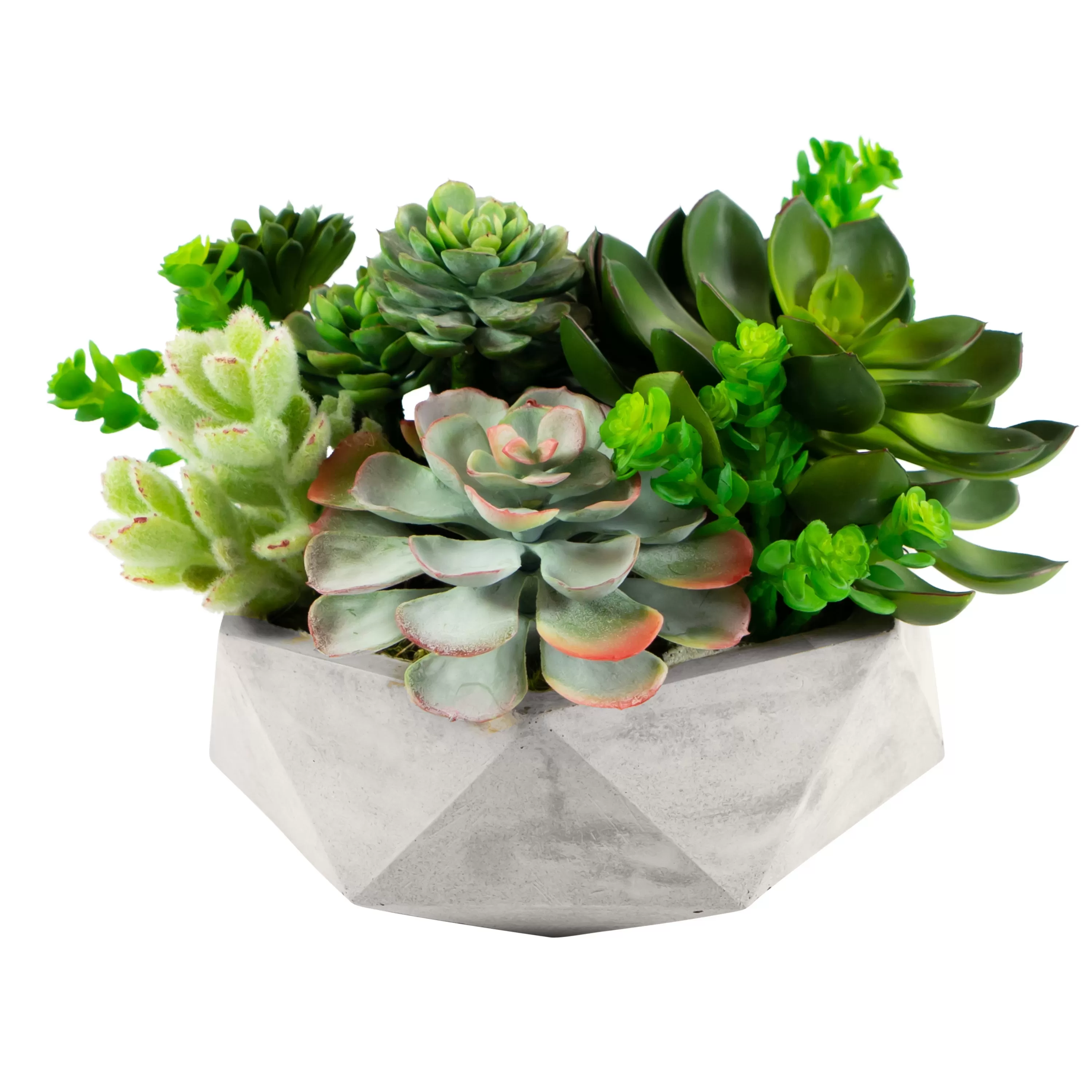 Hot Mix Succulent in Hexagon Pot 8" Succulent Arrangements | Outdoor Patio