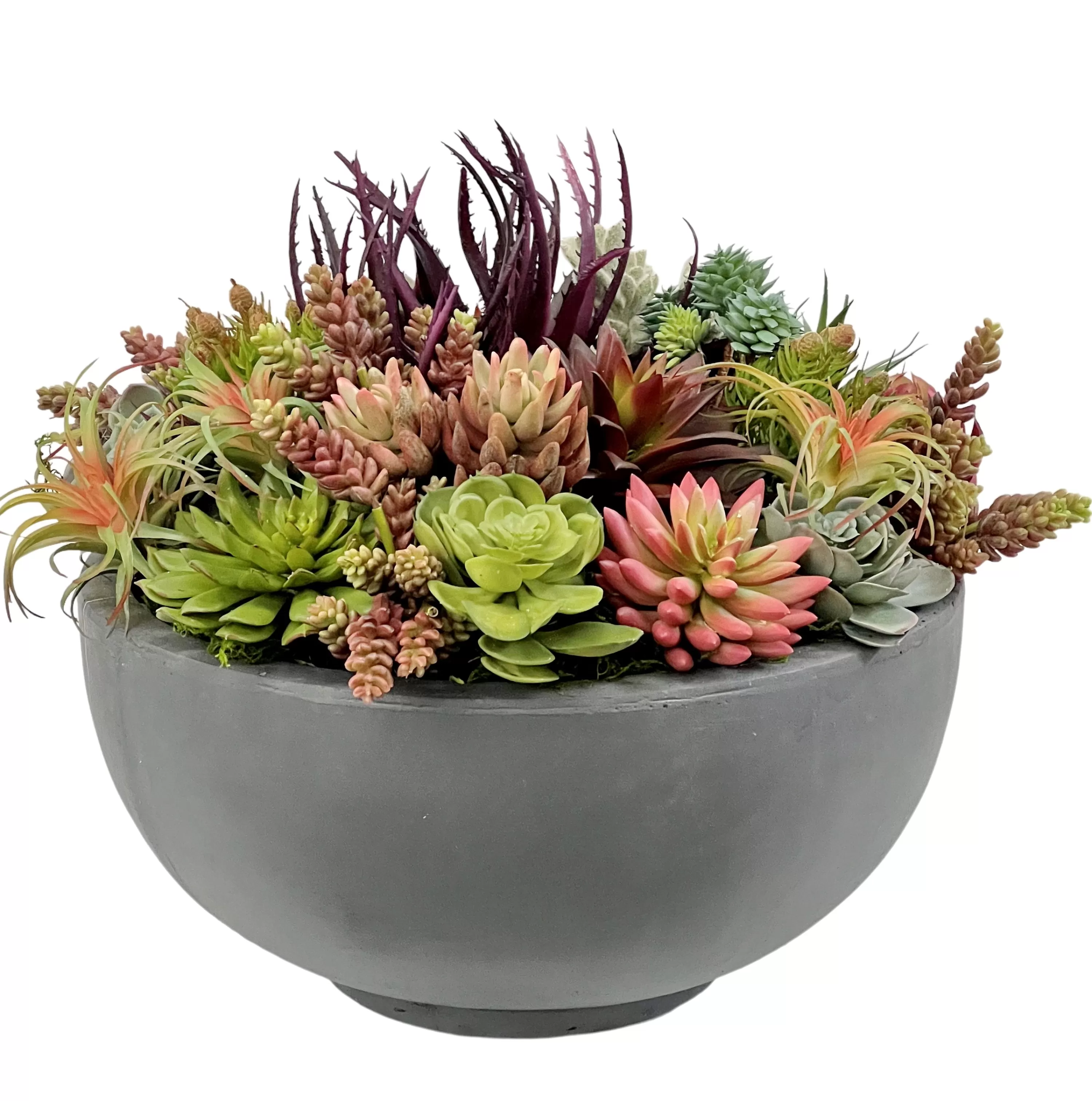 Fashion Mix Succulents in Bowl 16" Succulent Arrangements | Outdoor Patio