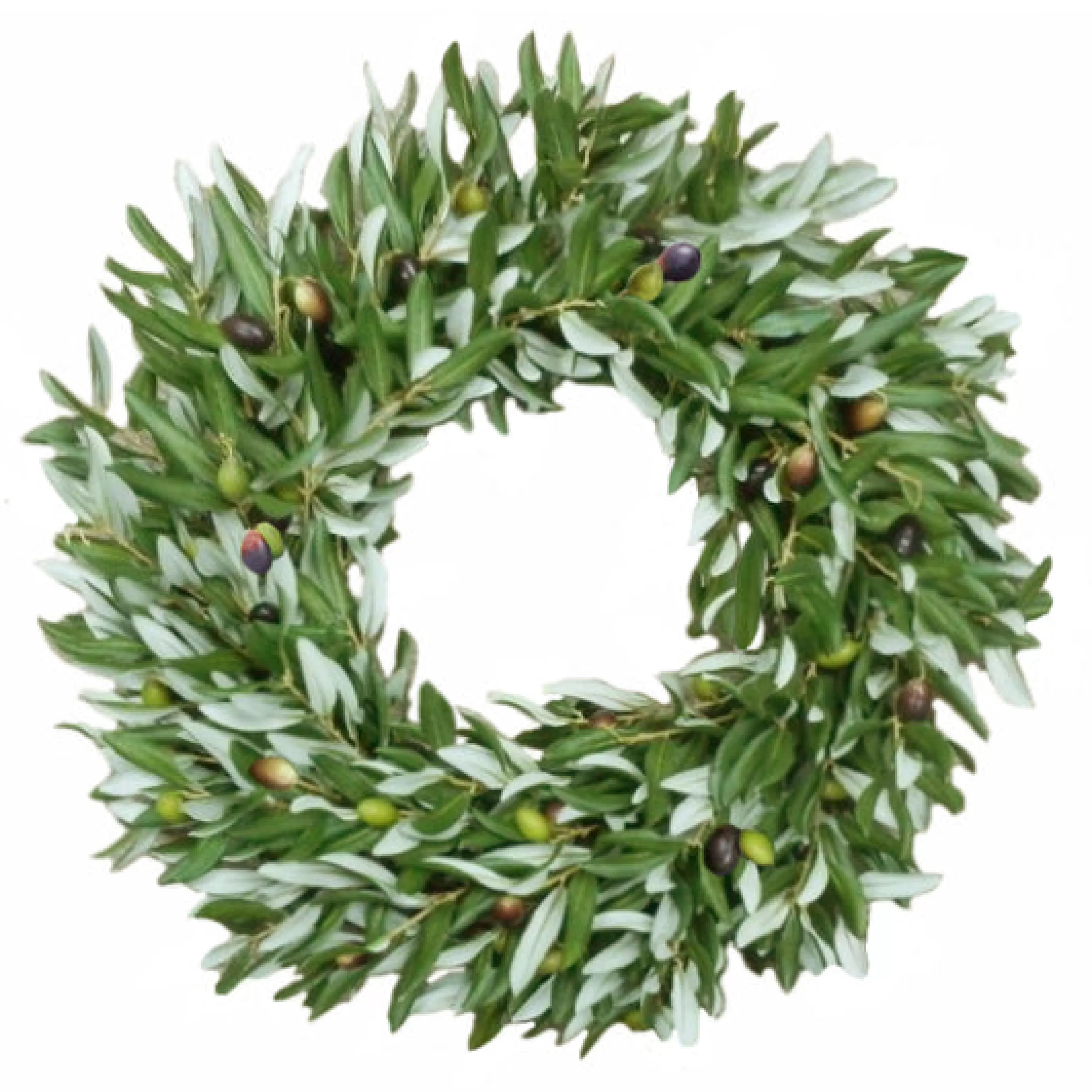 Hot Olive Wreath 24" Wreaths & Garlands | Wreaths & Garlands