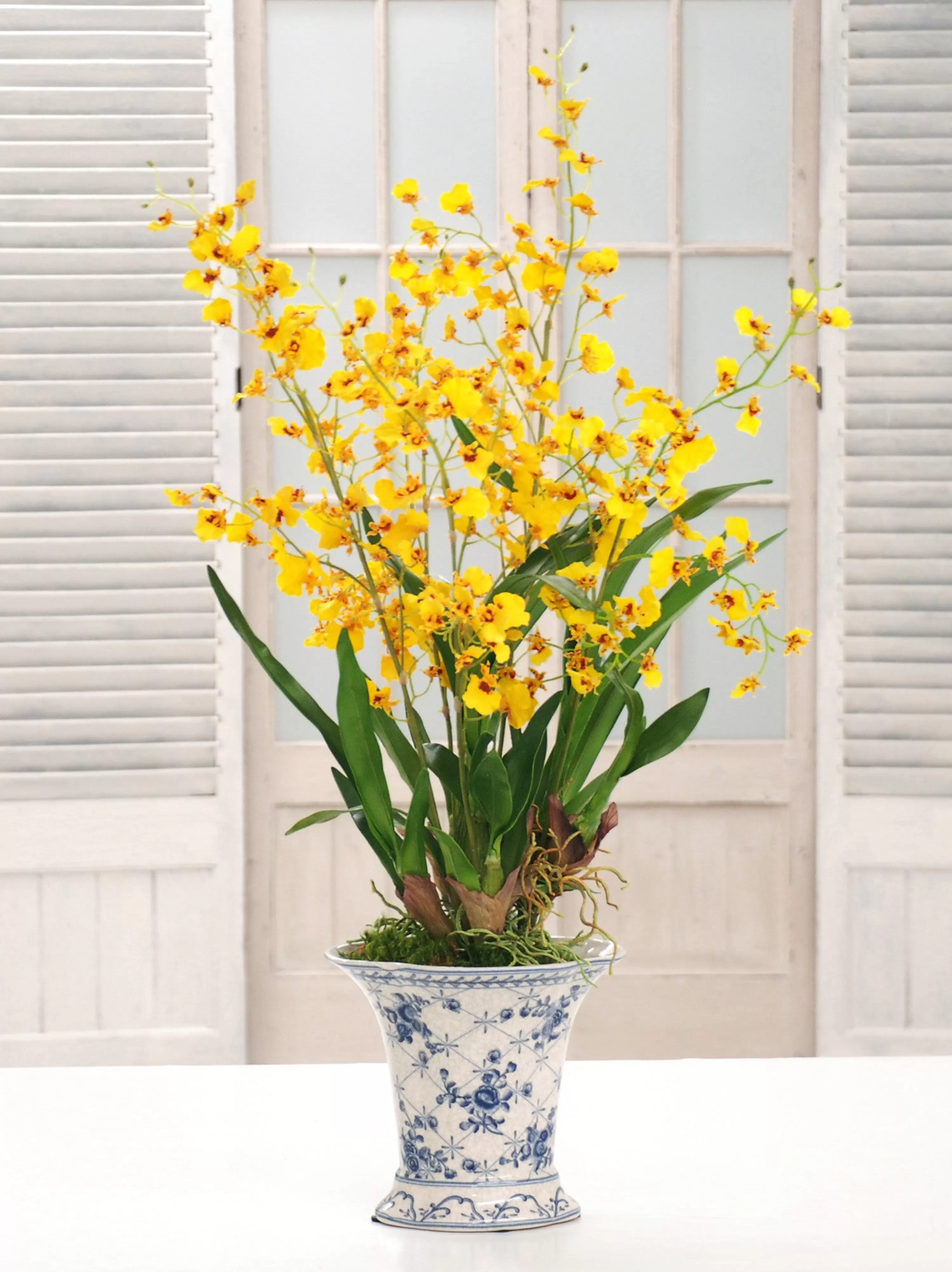 Hot ONCIDIUM ORCHID CHINOISERIE (DP768-YL) Tabletop