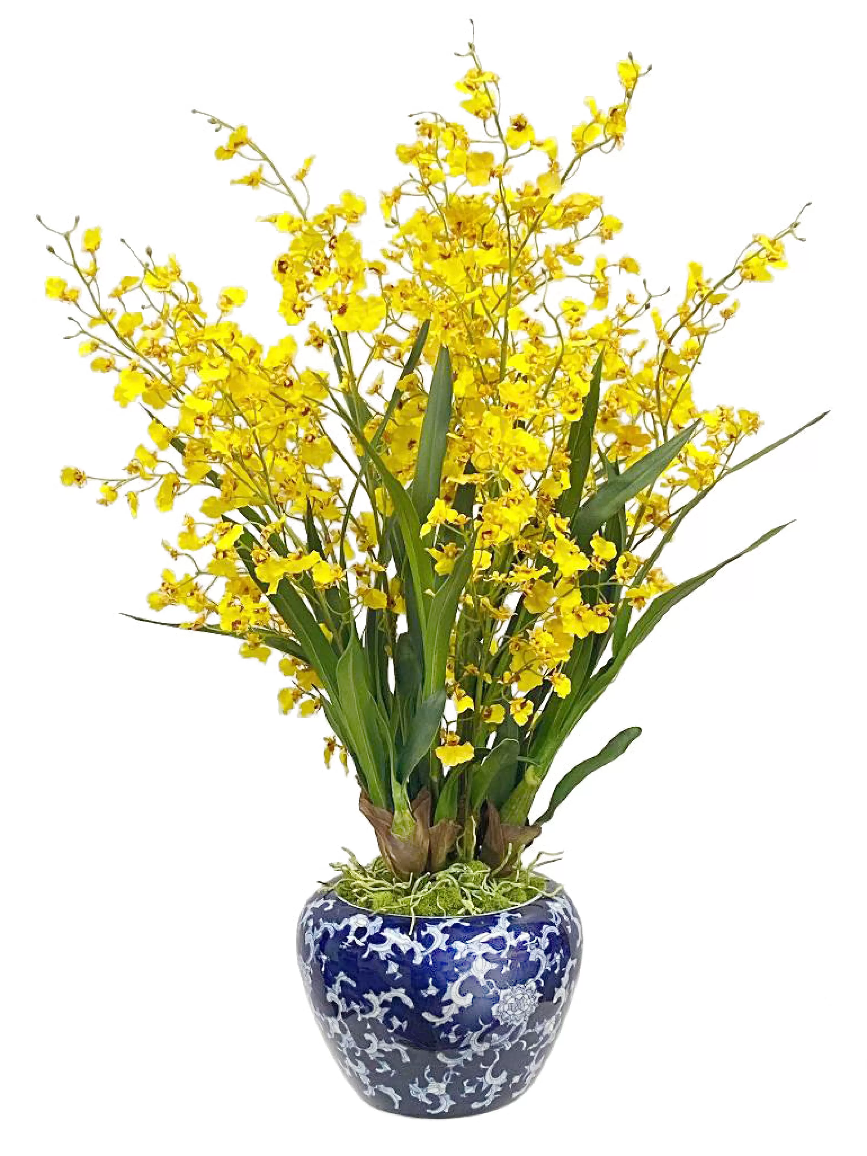 Sale ONCIDIUM ORCHID IN BOWL VASE 34" Highland Park