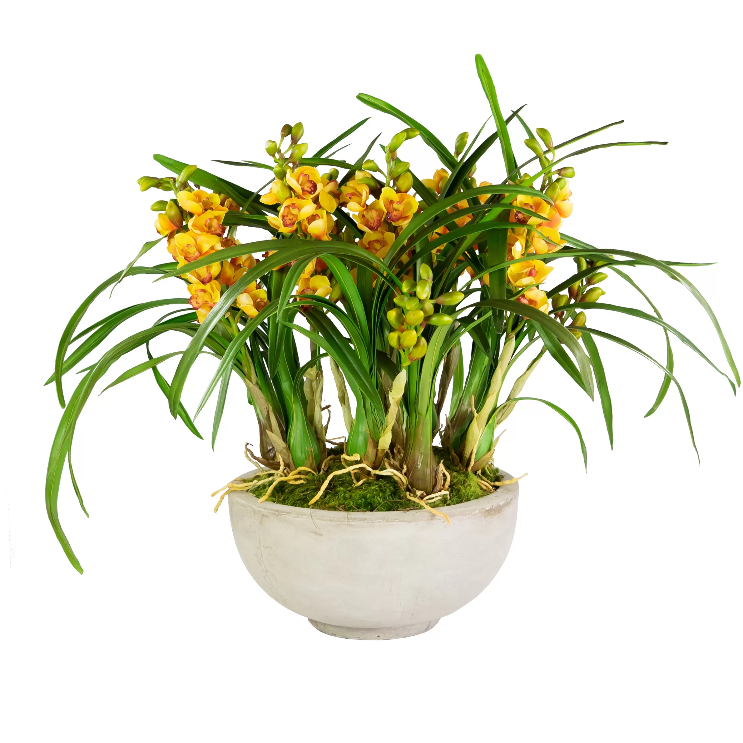 New ORCHID CYMBIDIUM IN BOWL (WHD307-YLGR) Tabletop