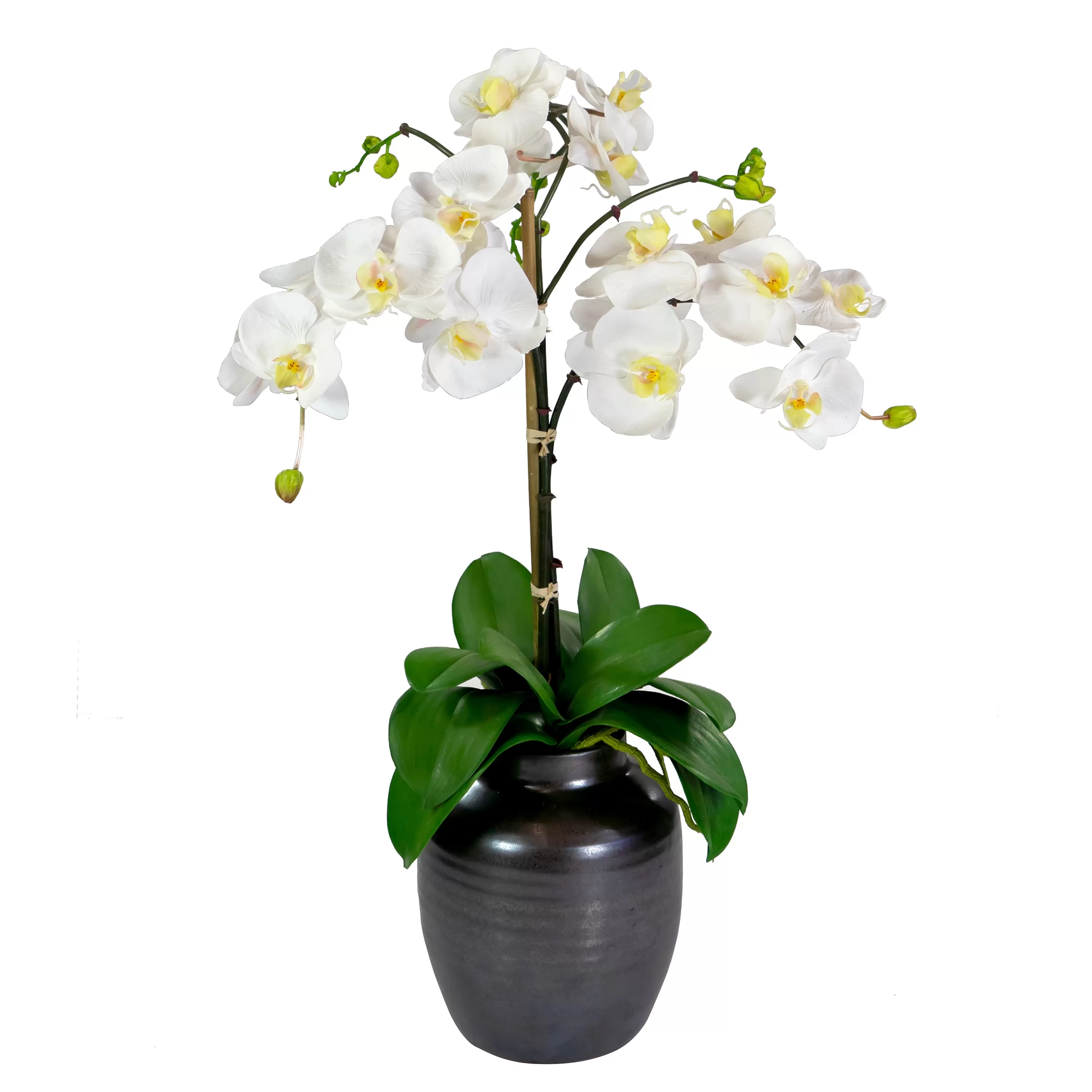 Flash Sale Orchid in Crete Pot 24" Tabletop | Urban