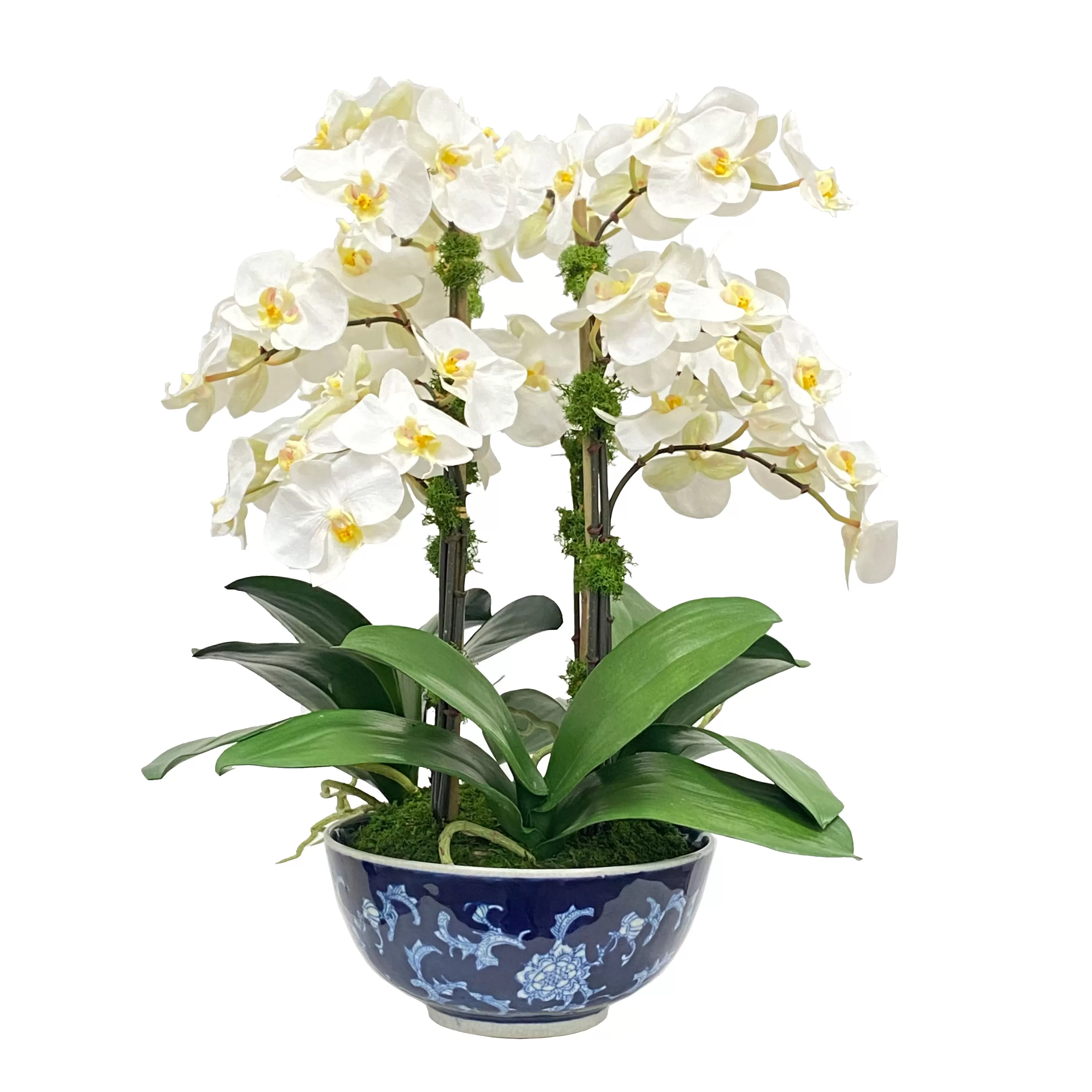 Discount Orchid in Longlife Bowl 21" Highland Park