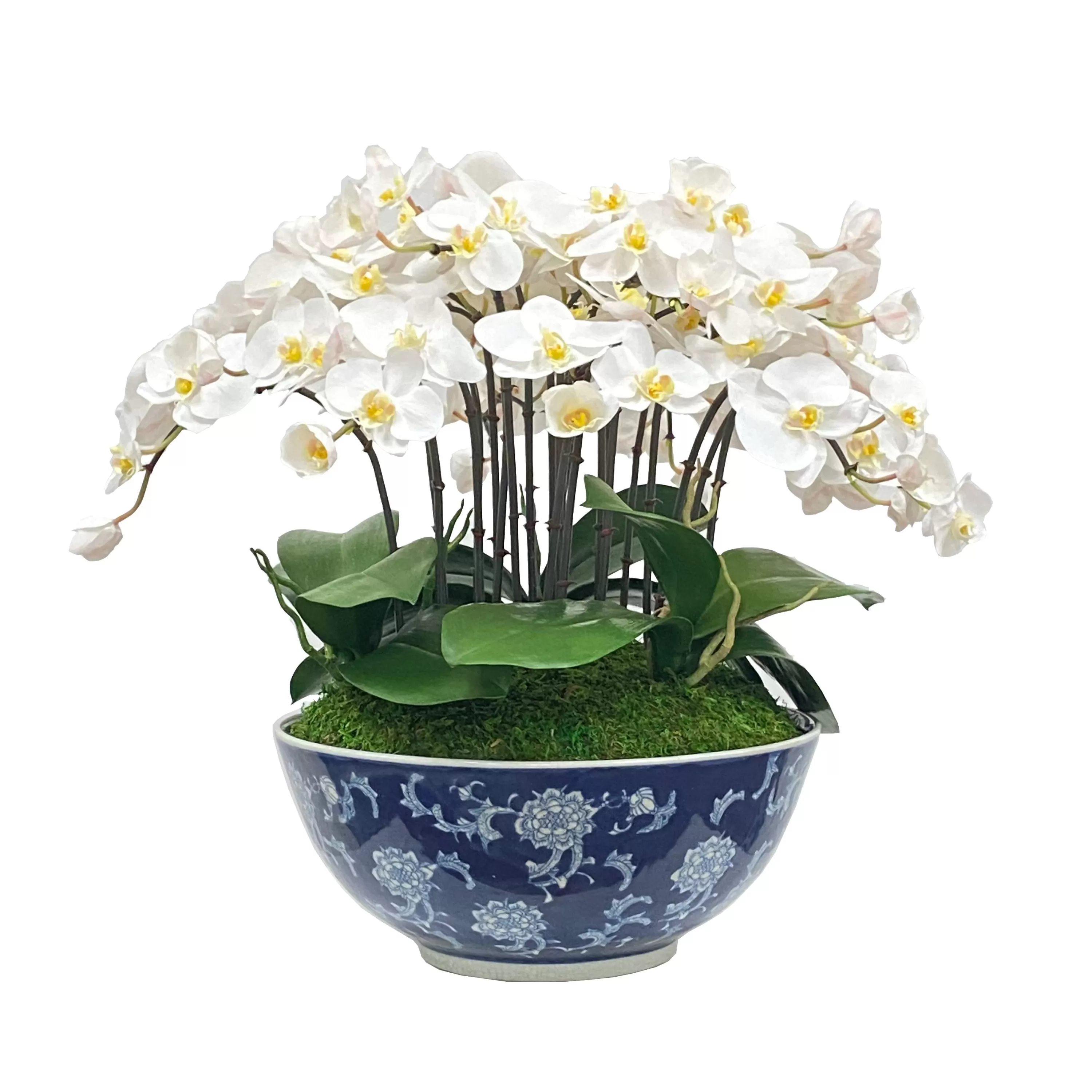 Hot Orchid in Longlife Bowl 19" Highland Park