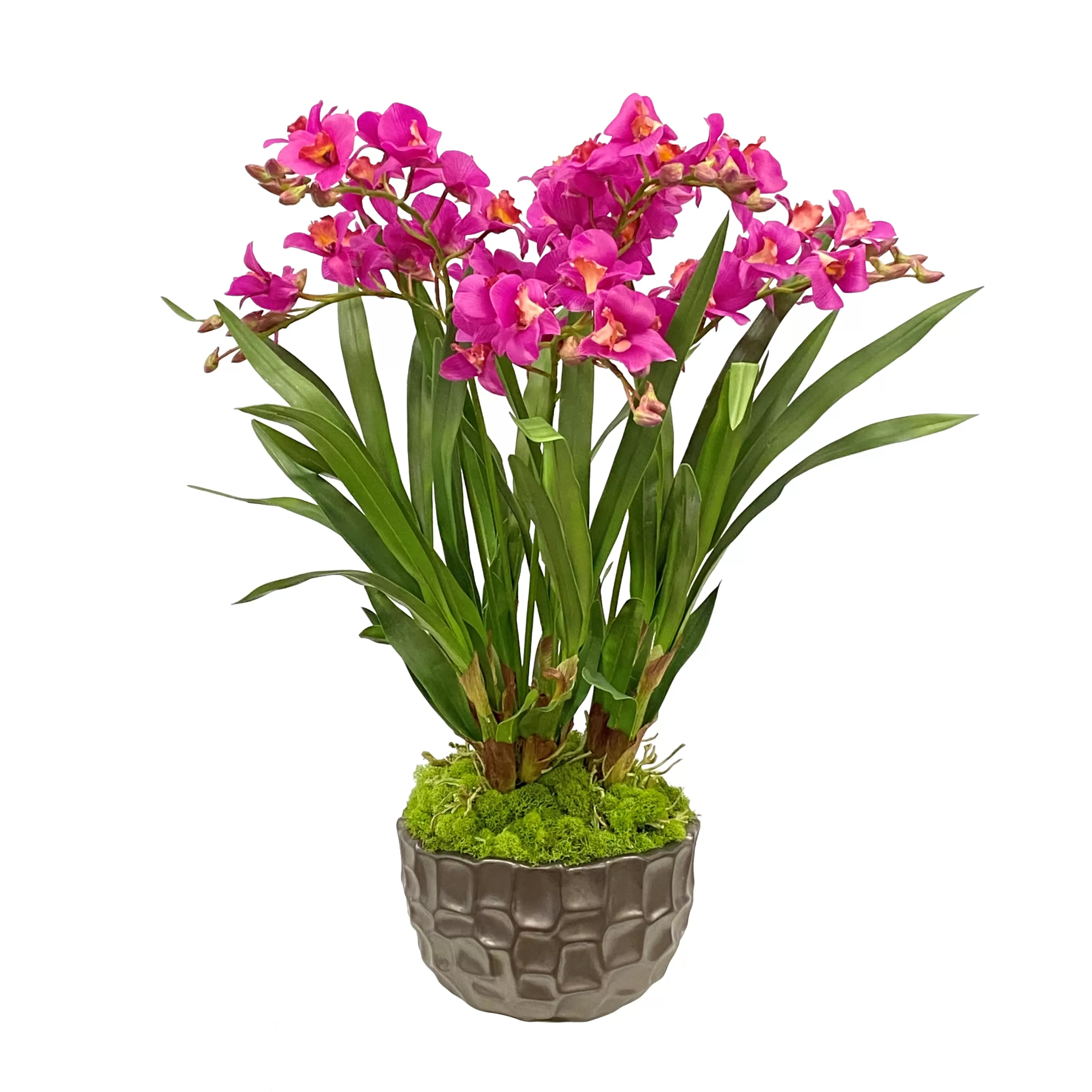 Flash Sale Orchid in Modern Bowl 27" Urban