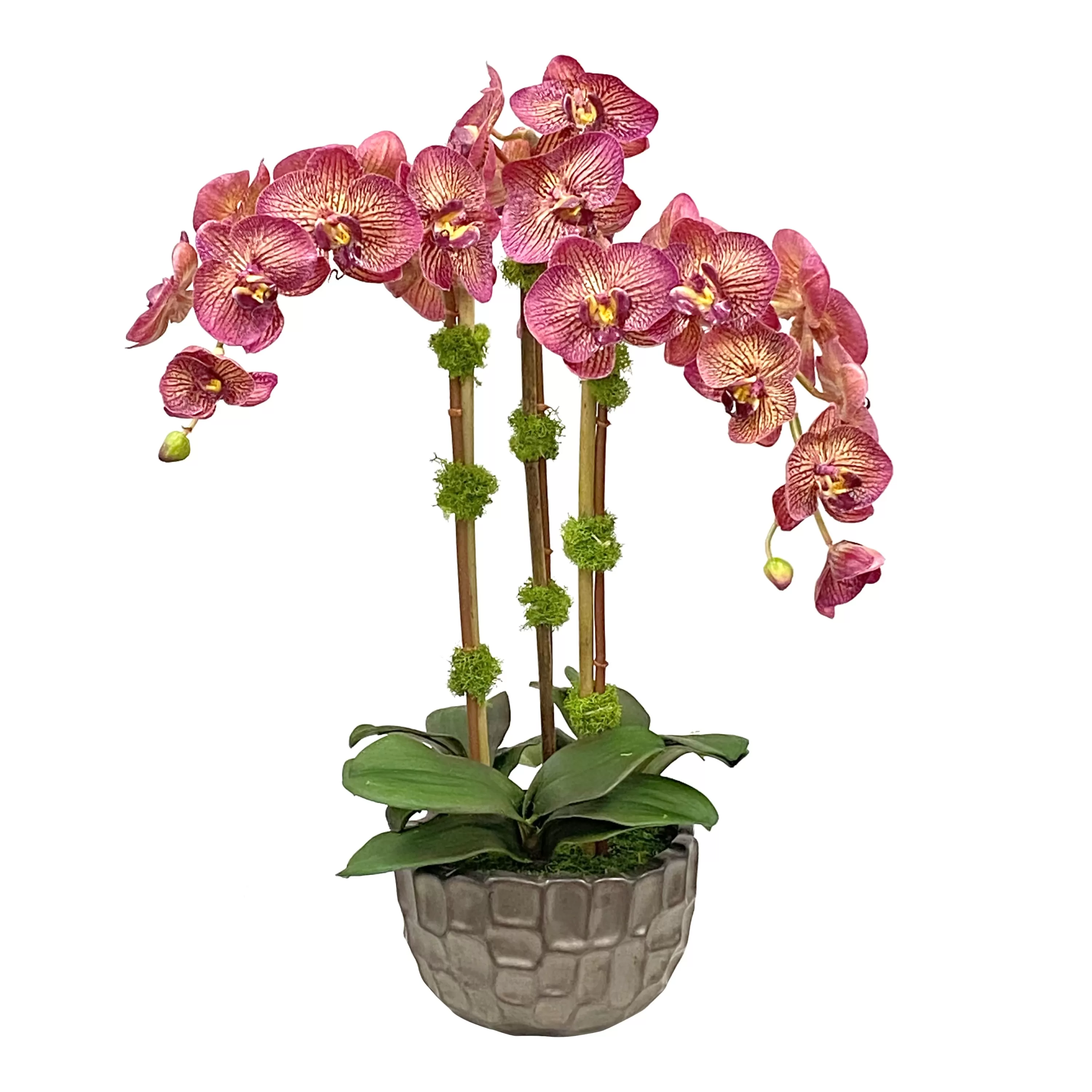 Outlet ORCHID IN MODERN BOWL 23" Urban