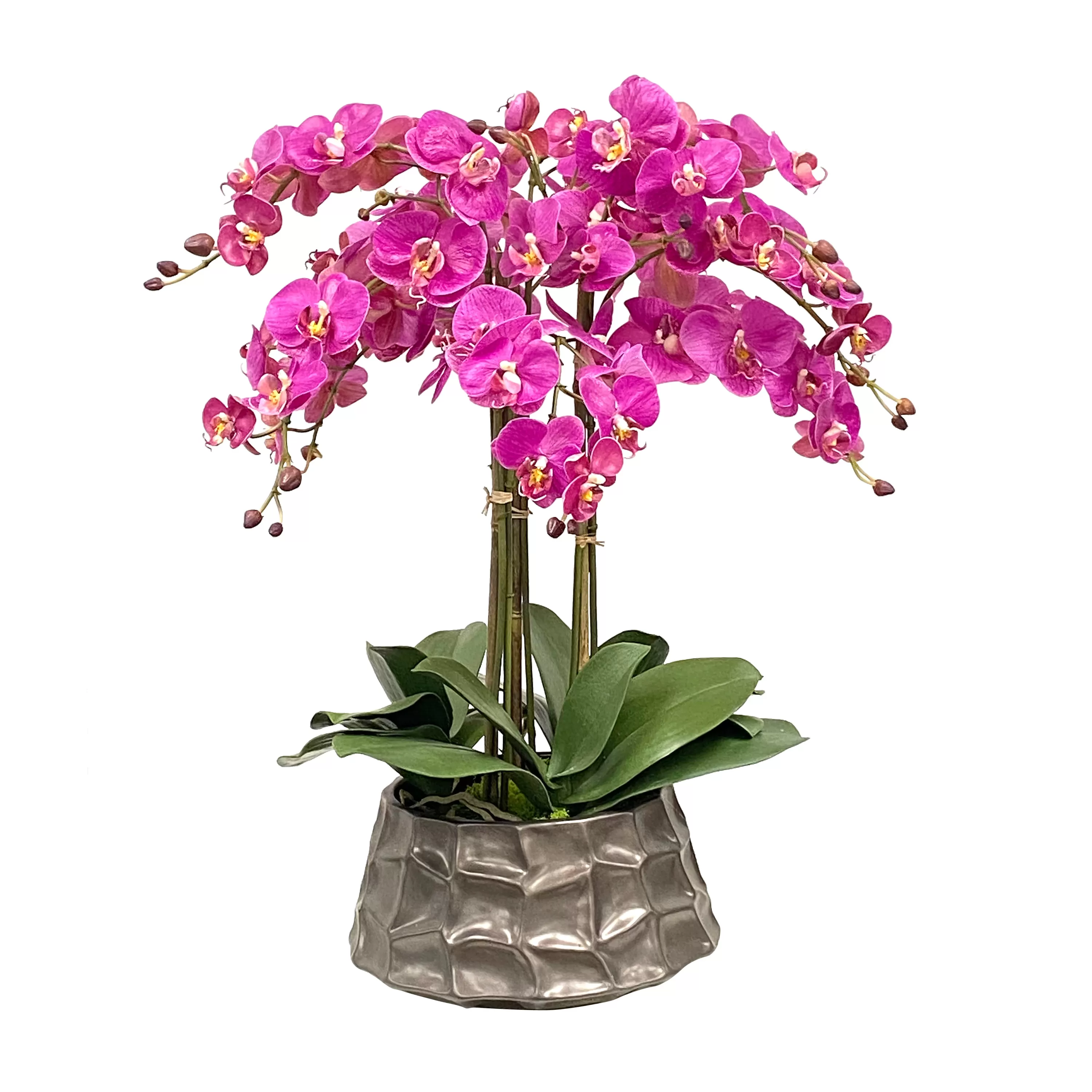 Fashion Orchid in Modern Pot 26" Urban