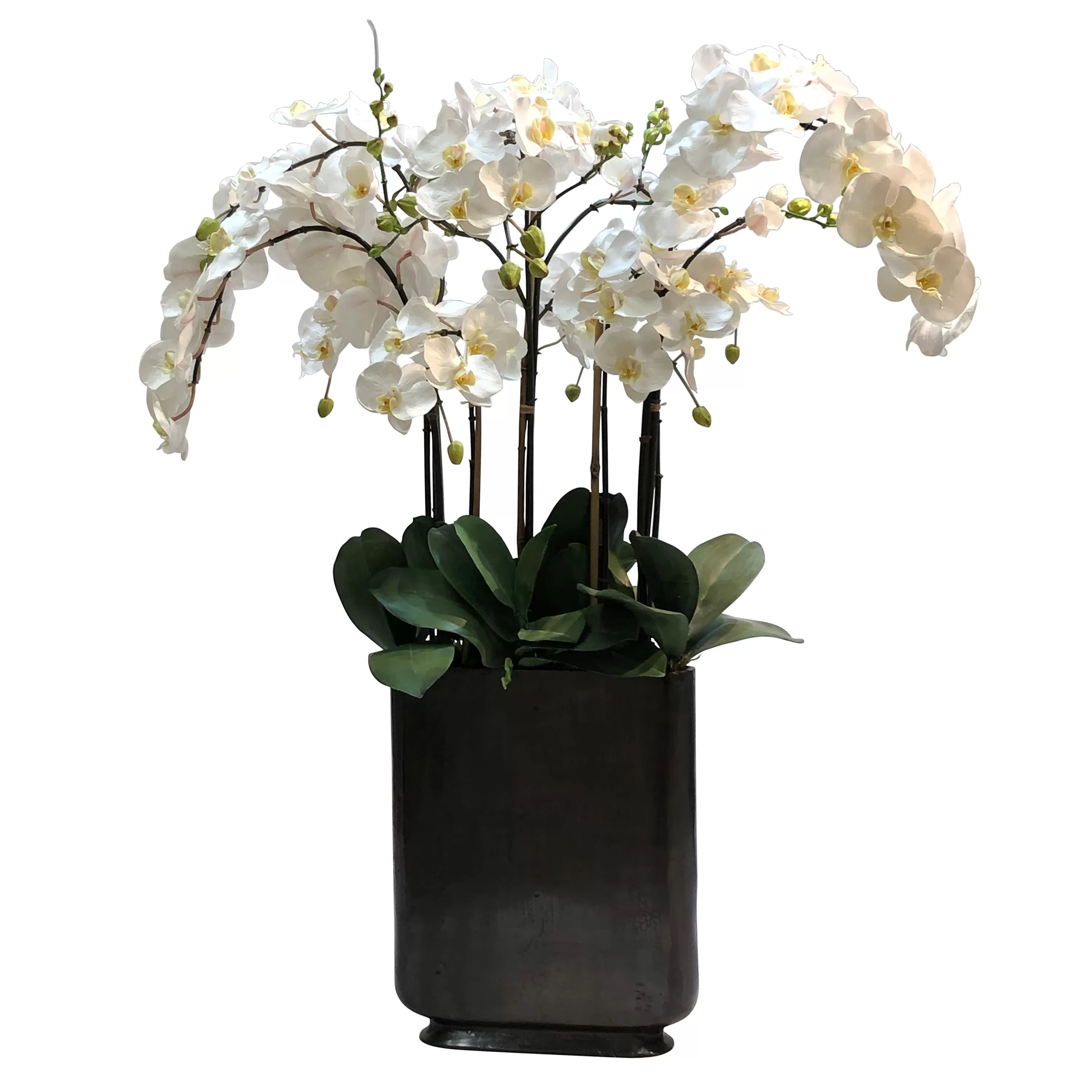 Discount ORCHID IN RECTANGLE VASE 42" Tabletop | Manhattan