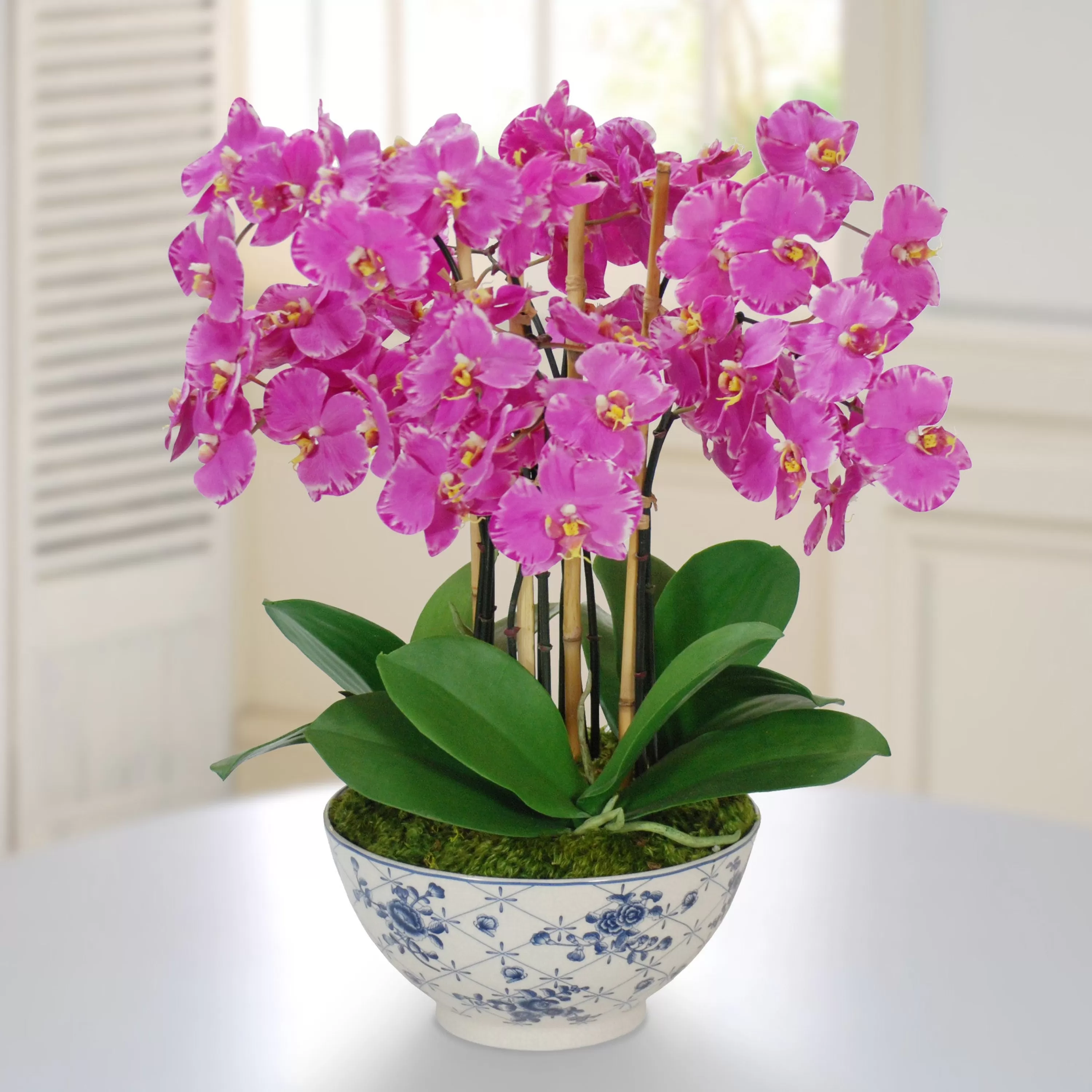 Shop Orchid in Rose Trellis Bowl 21" Dining Centerpieces | Tabletop