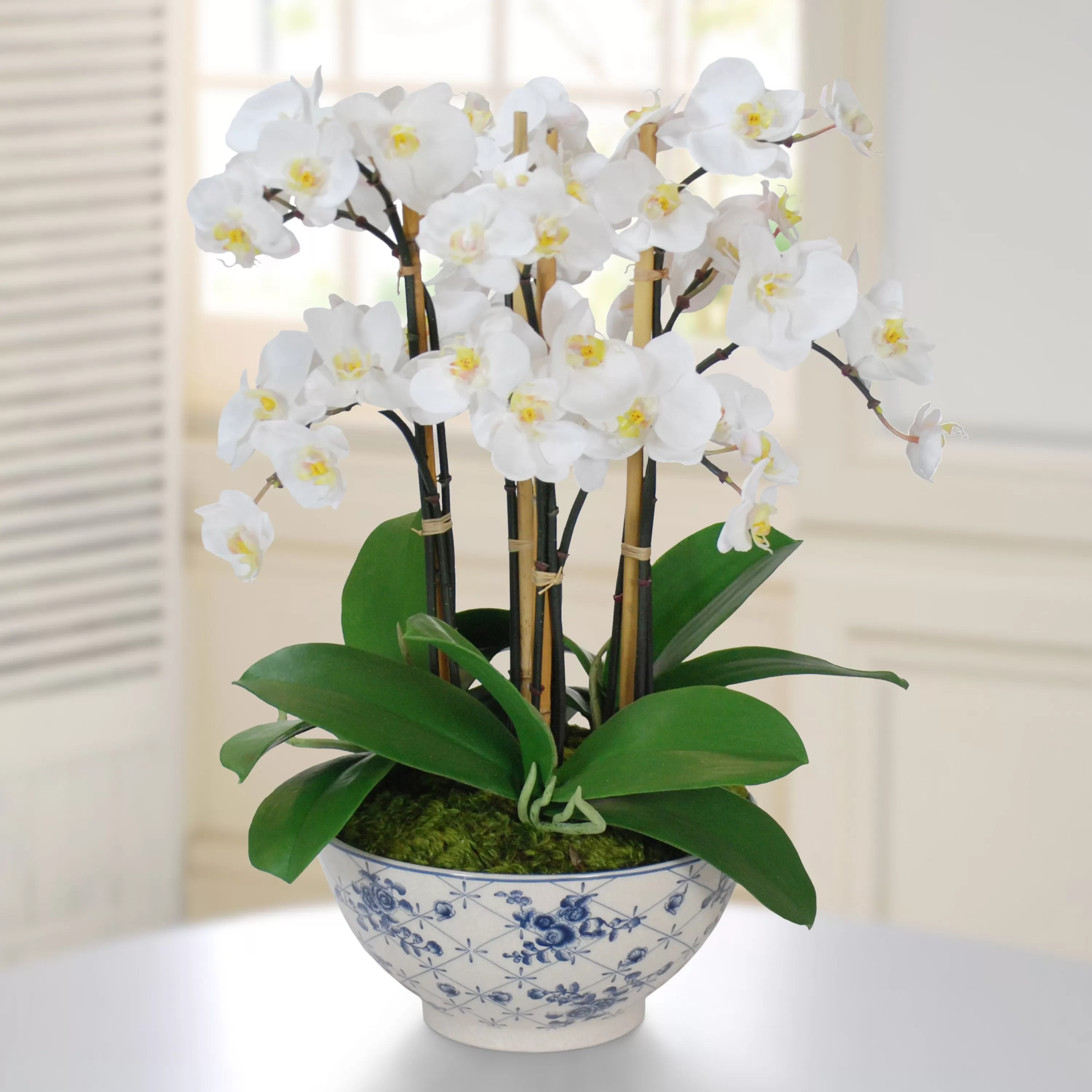 Discount Orchid in Rose Trellis Bowl 21" Dining Centerpieces | Tabletop