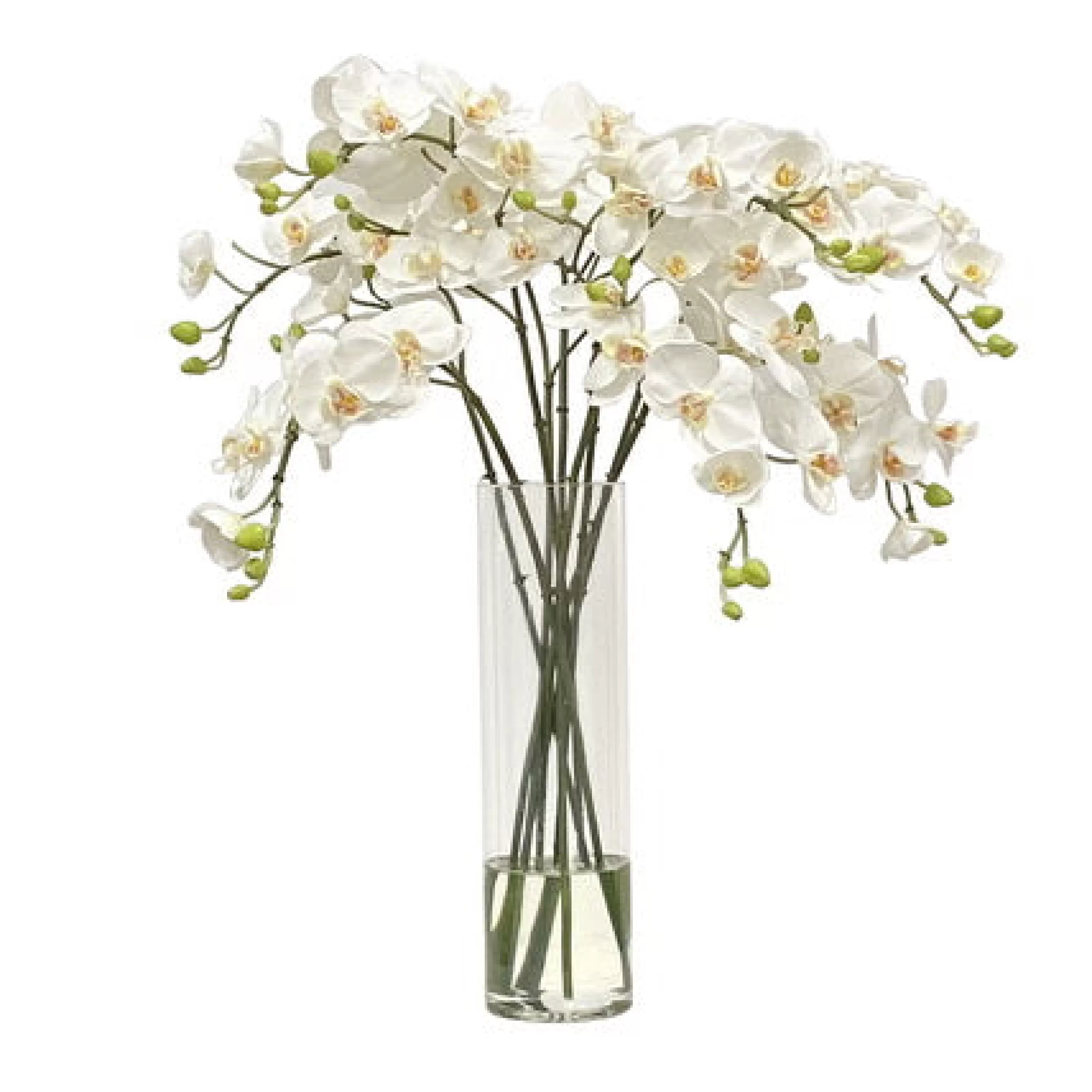 Best Orchid in Slim Vase 21" Bianco