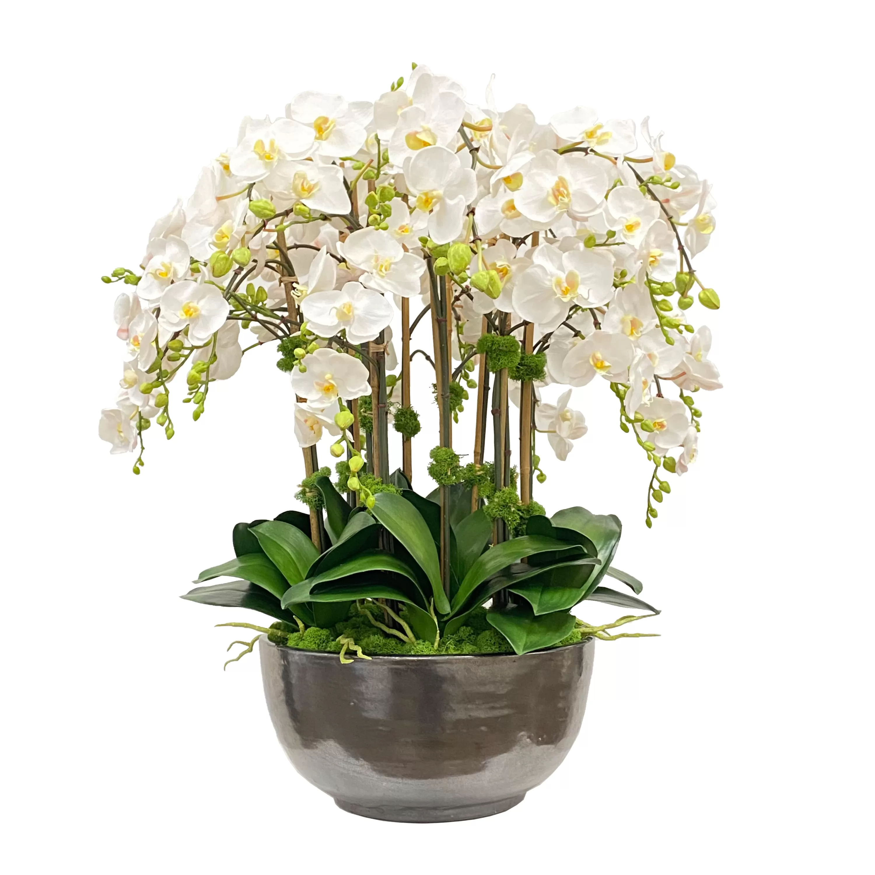 Discount Orchid Phalaenopsis in Bowl 30" Dining Centerpieces