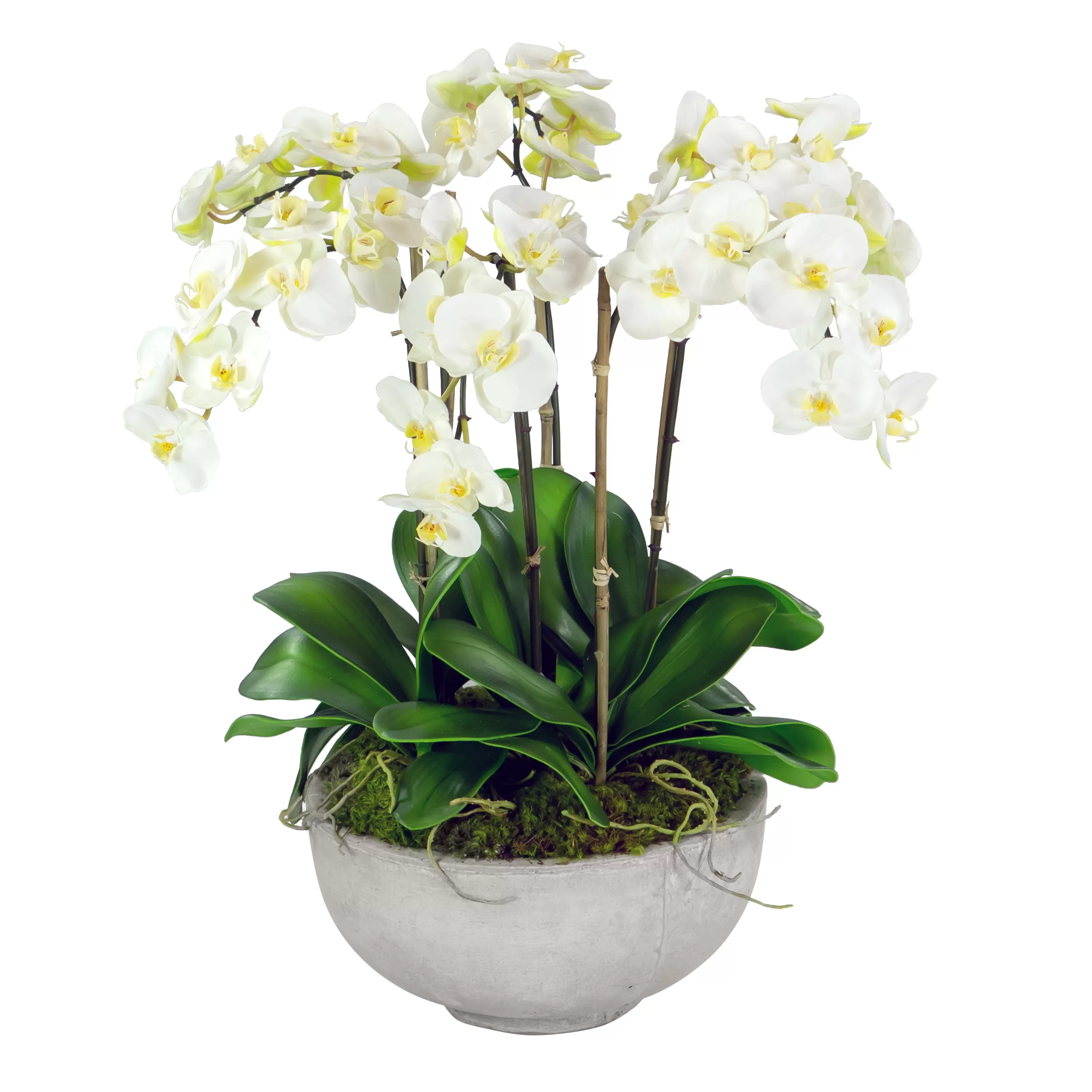 Online ORCHIDS IN BOWL 28" Tabletop | Outdoor Patio