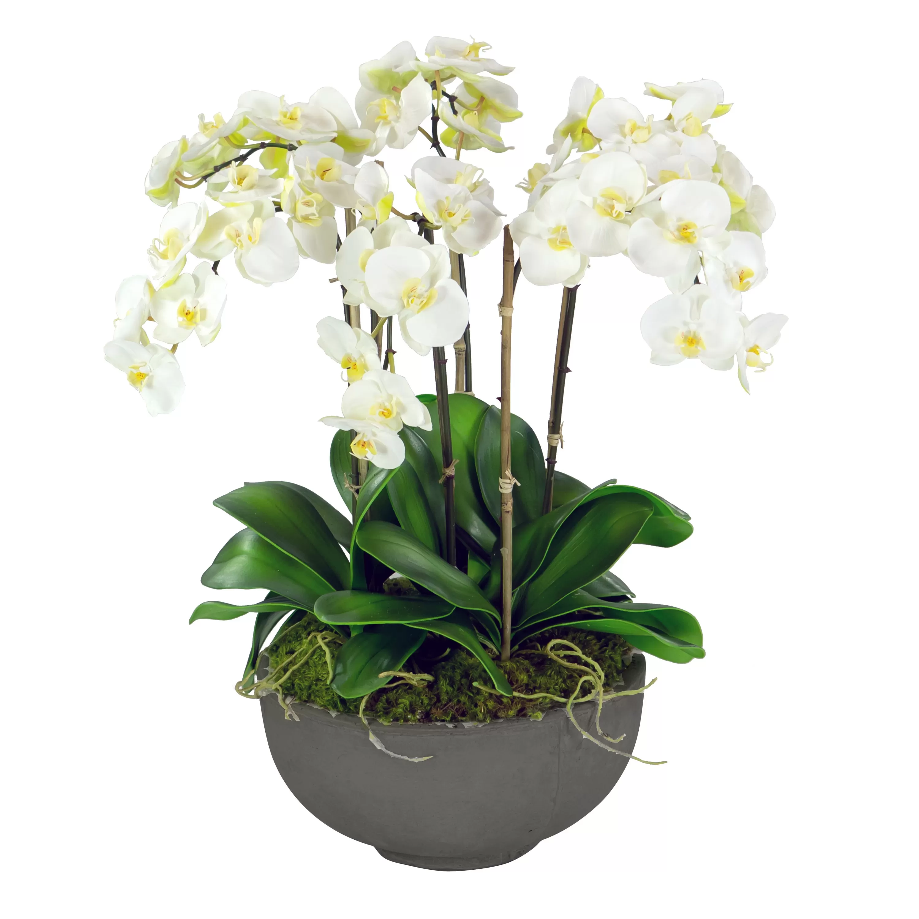 Cheap ORCHIDS IN BOWL 28" Tabletop | Outdoor Patio