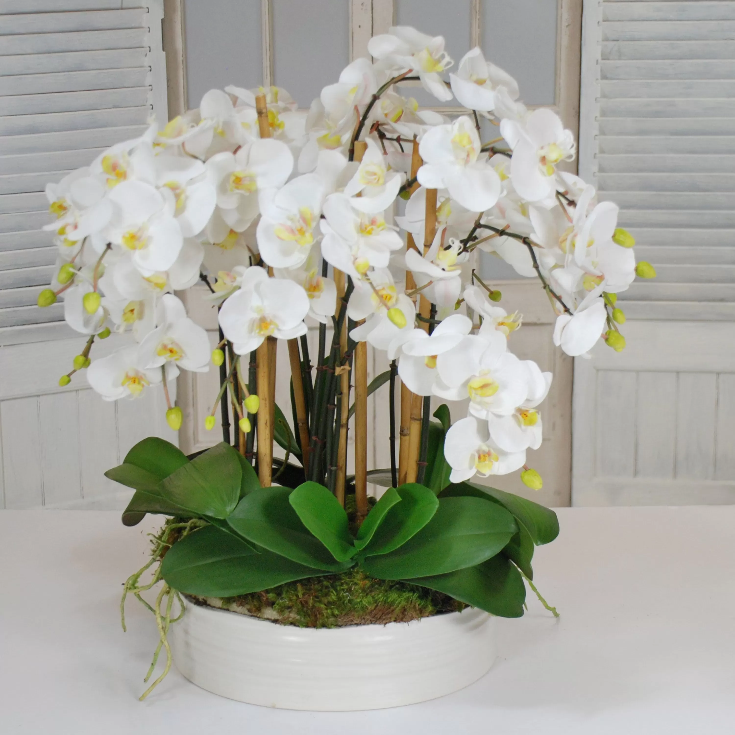 Best ORCHIDS IN URBAN COIL BOWL 28" Dining Centerpieces | Tabletop