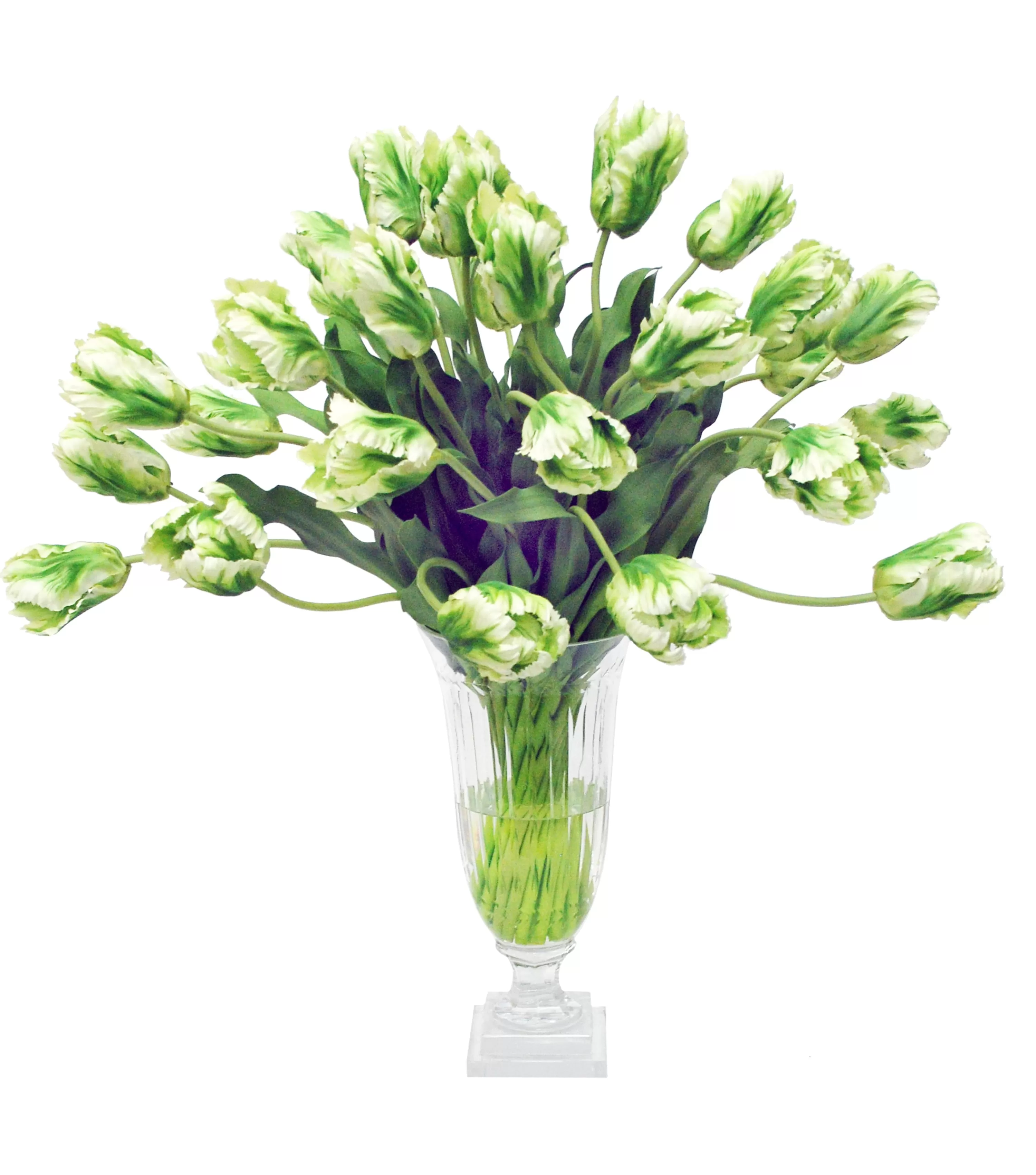 Best Sale PARROT TULIP IN LEAF CUT VASE (WHD173-WHGR) Tabletop