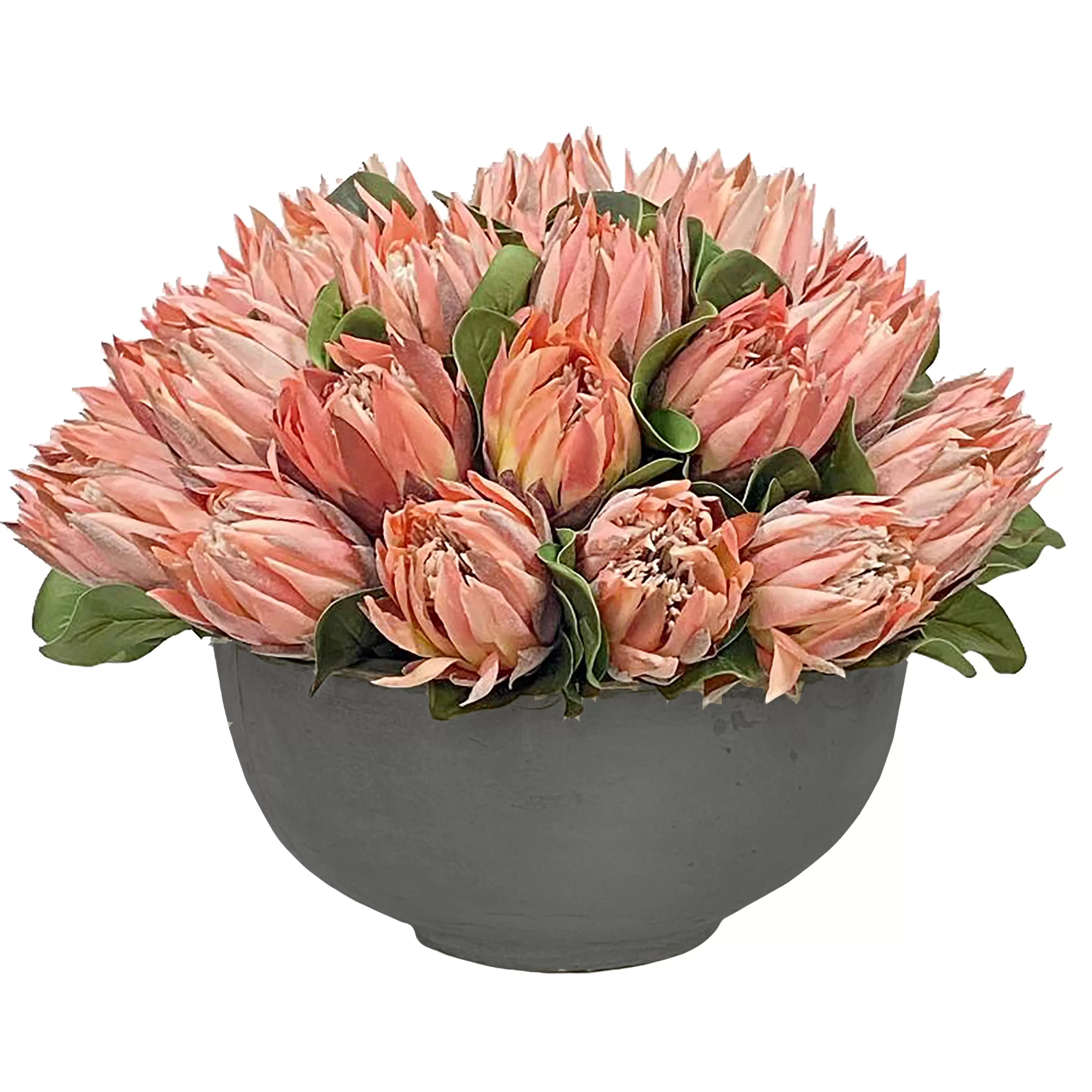 Best Pink Protea in Bowl 18'' Outdoor Patio