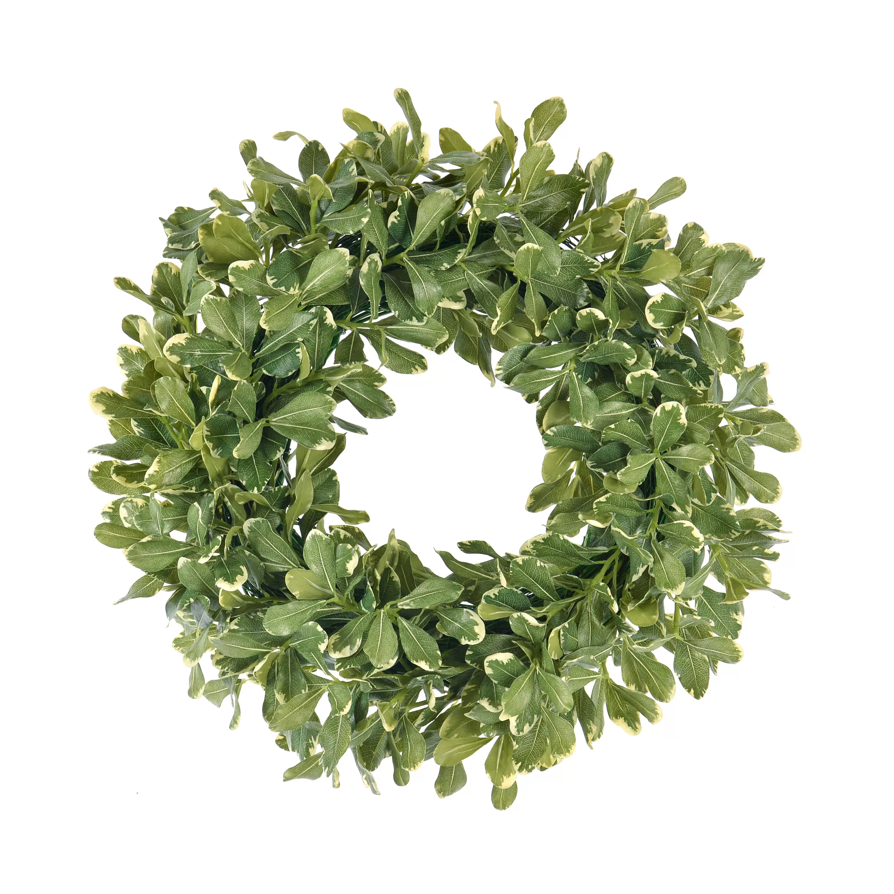 Cheap Pittosporum Spray Wreath 24" Wreaths & Garlands | Wreaths & Garlands