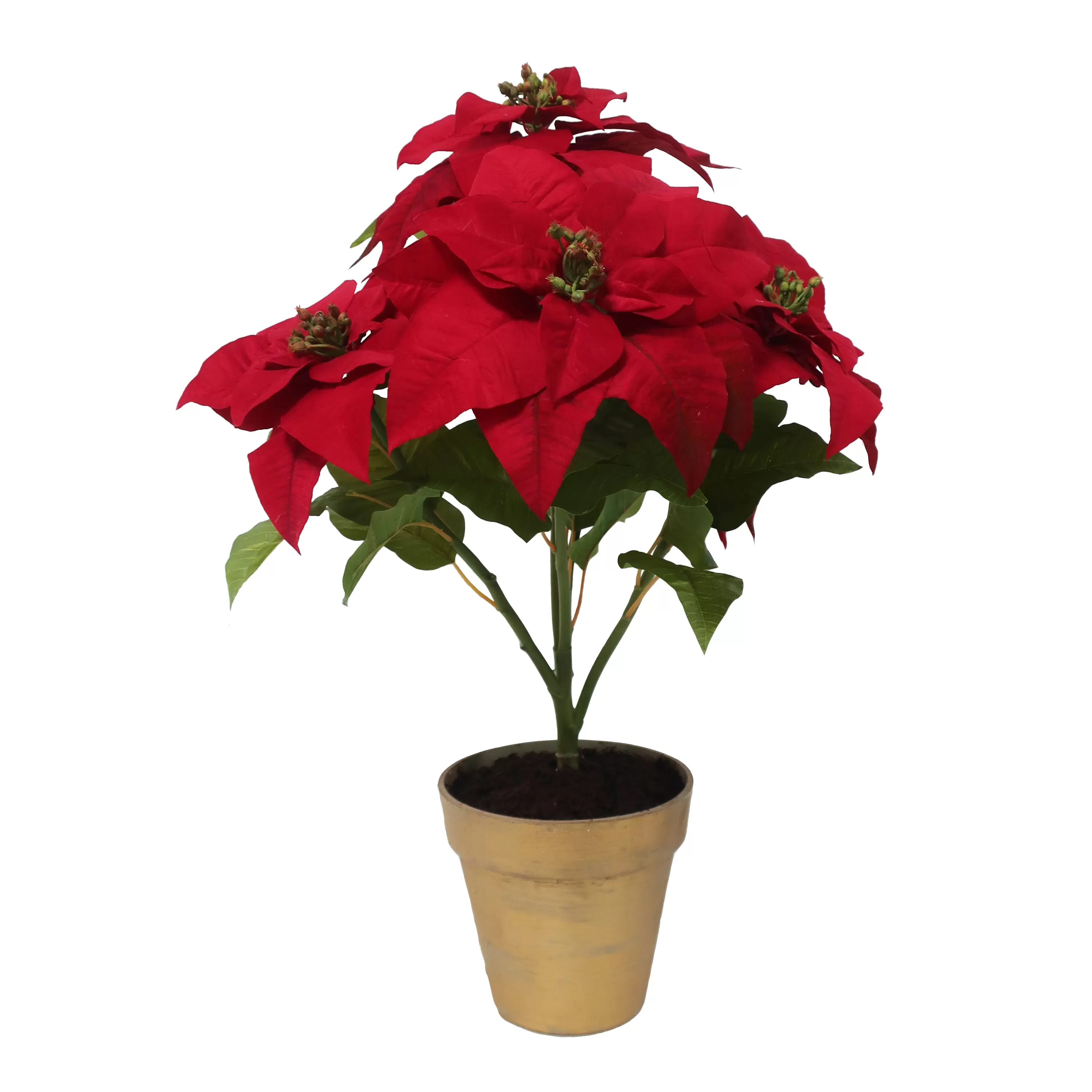 Store Poinsettia Branch in Pot 28" Our Favorite Holiday Decor