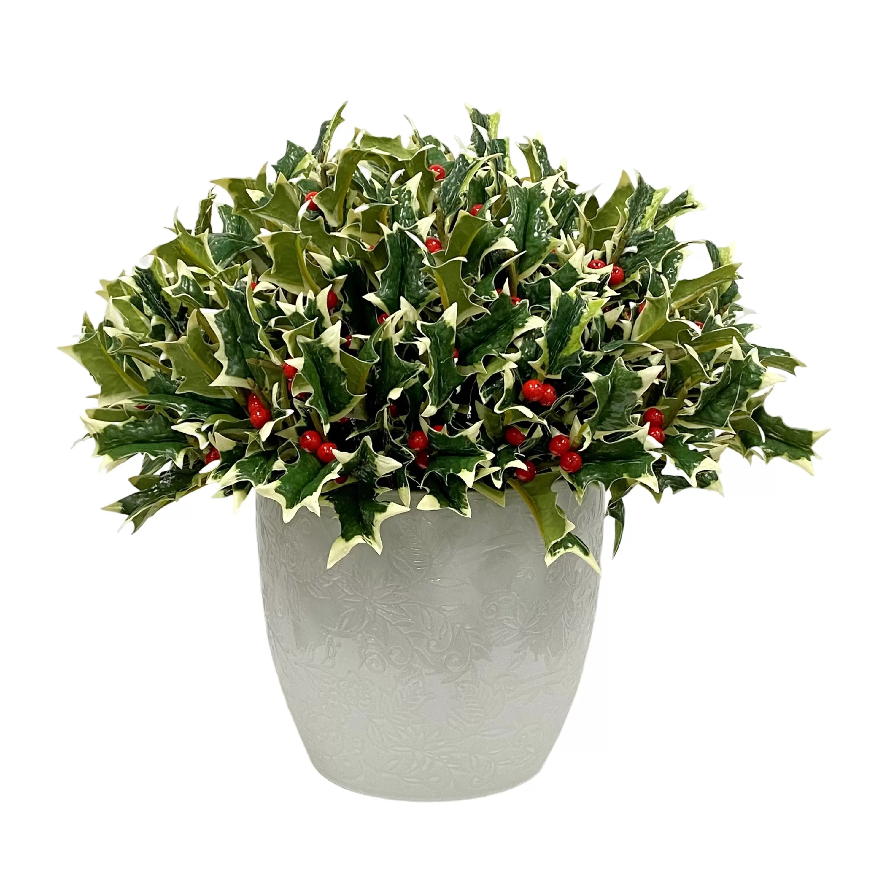 New Pointed Holly in Floral Cathe Pot 14" Our Favorite Holiday Decor