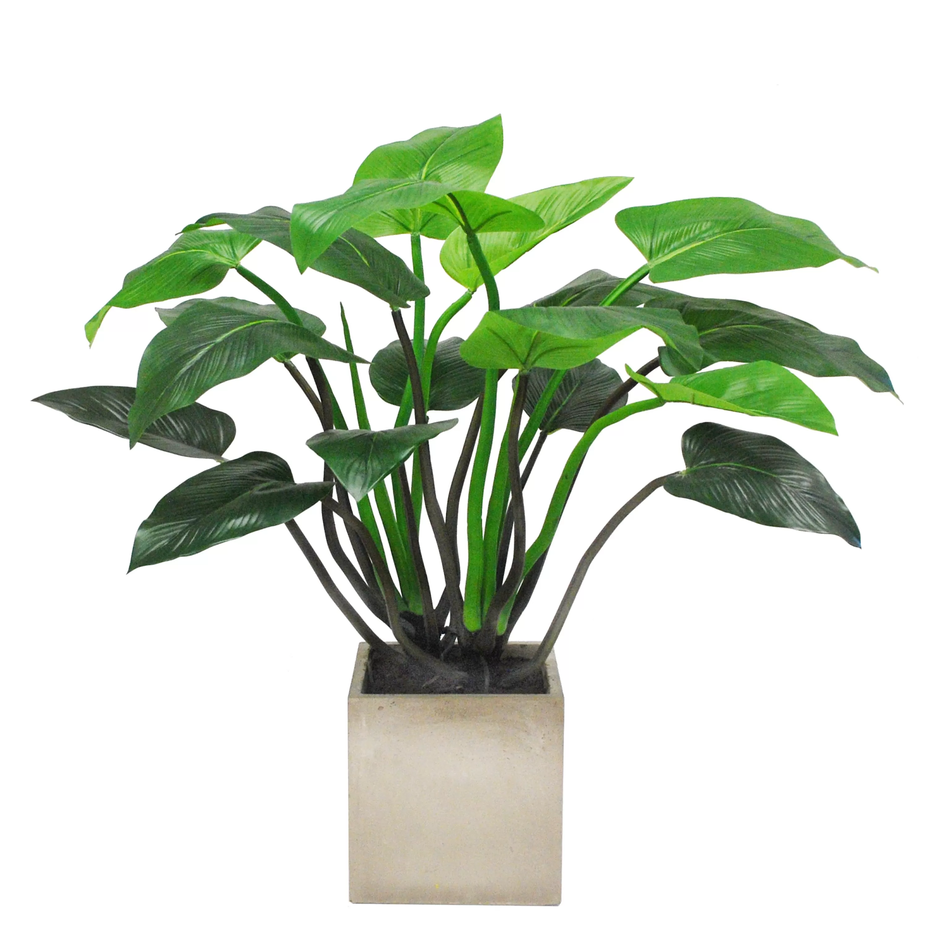 Best Sale POINTED PHILO PLANTER 3.3' Large Trees | Outdoor Patio