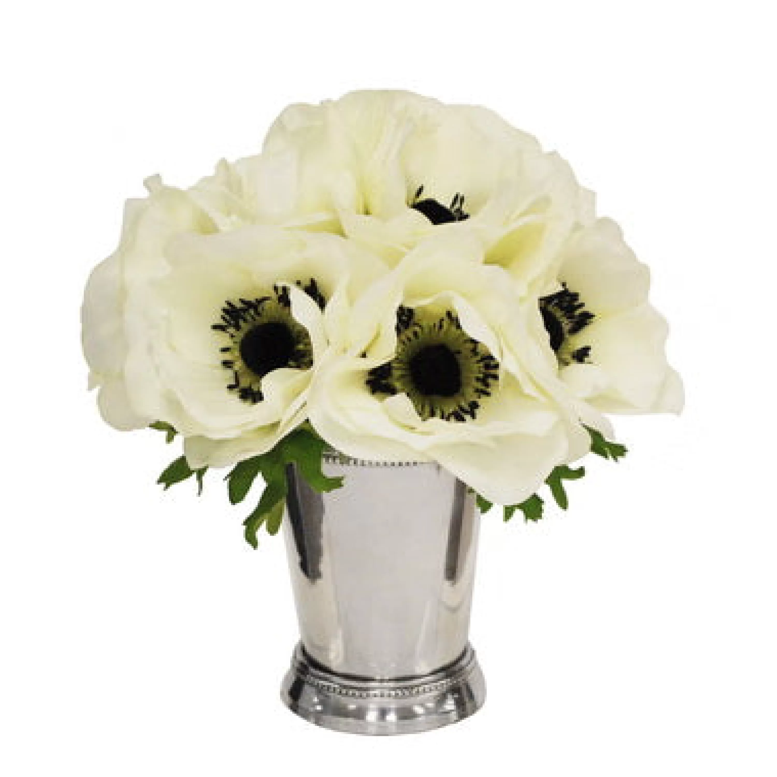 Outlet Poppy Anemone Julep in Cup 9" Bianco