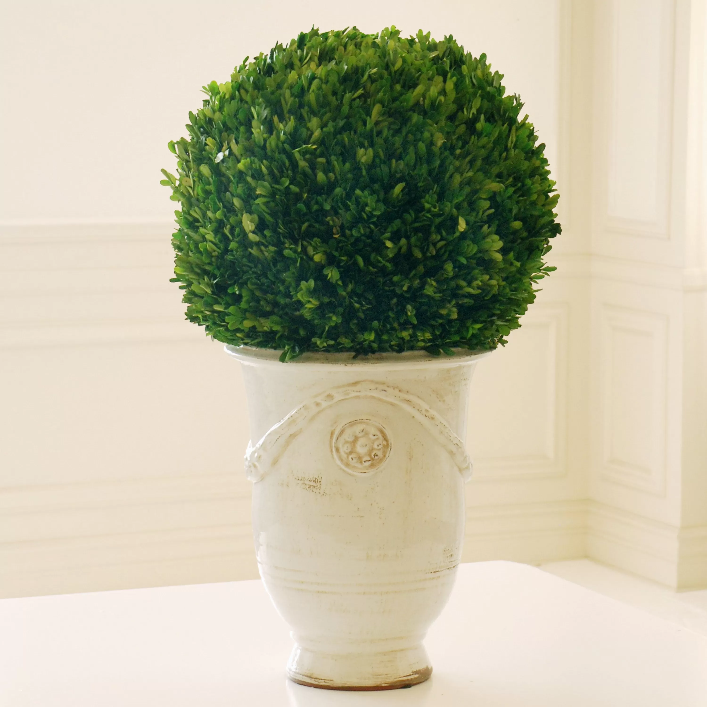 Cheap PRESERVED BOXWOOD BALL IN TUSCAN URN 3' Preserved Boxwoods | Highland Park