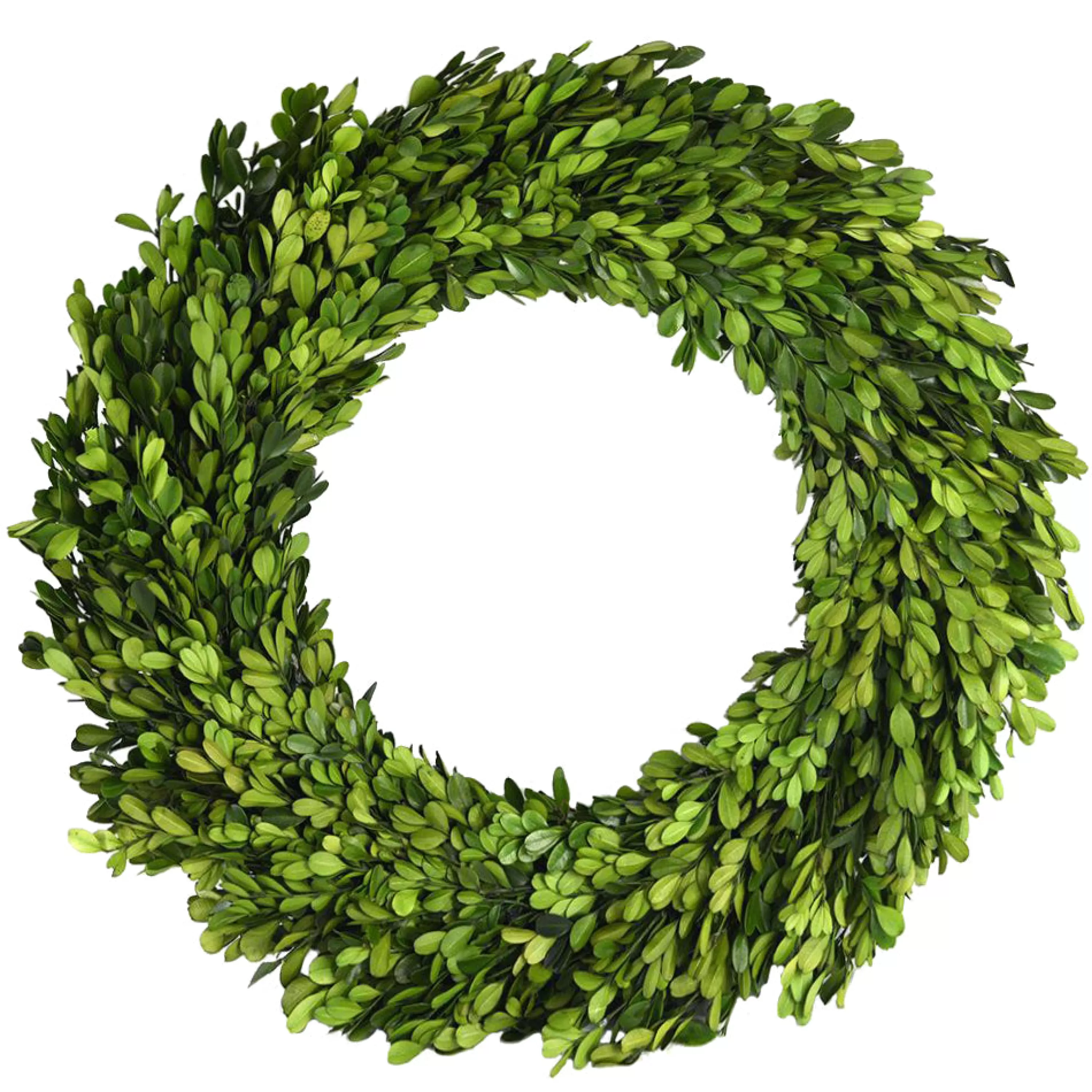 Fashion PRESERVED BOXWOOD WREATH 36" Preserved Boxwoods | Wreaths & Garlands