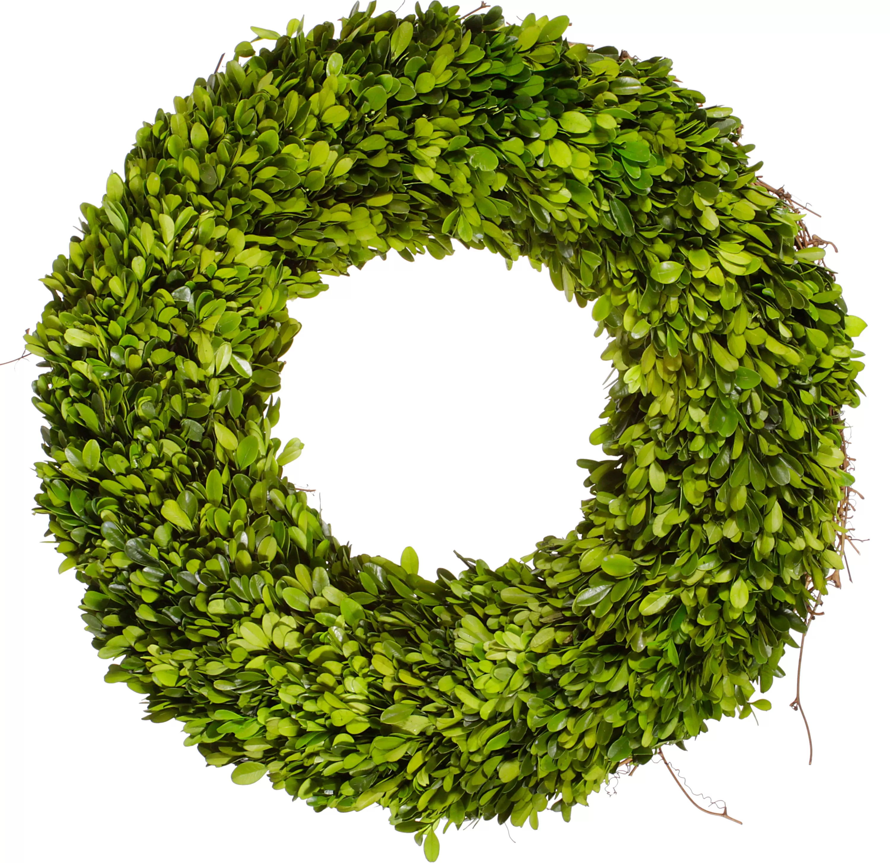 Shop Preserved Boxwood Wreath 20" Single-side Preserved Boxwoods | Wreaths & Garlands