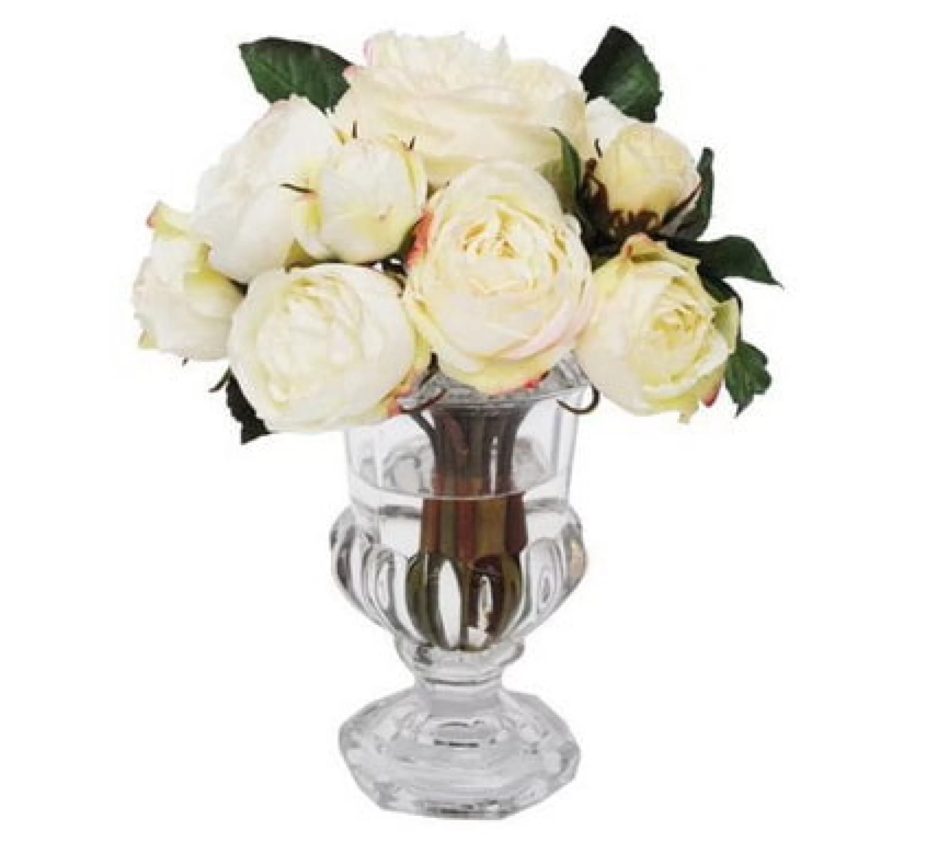 Online Roses in Flanging Glass Vase 9.5" Bianco