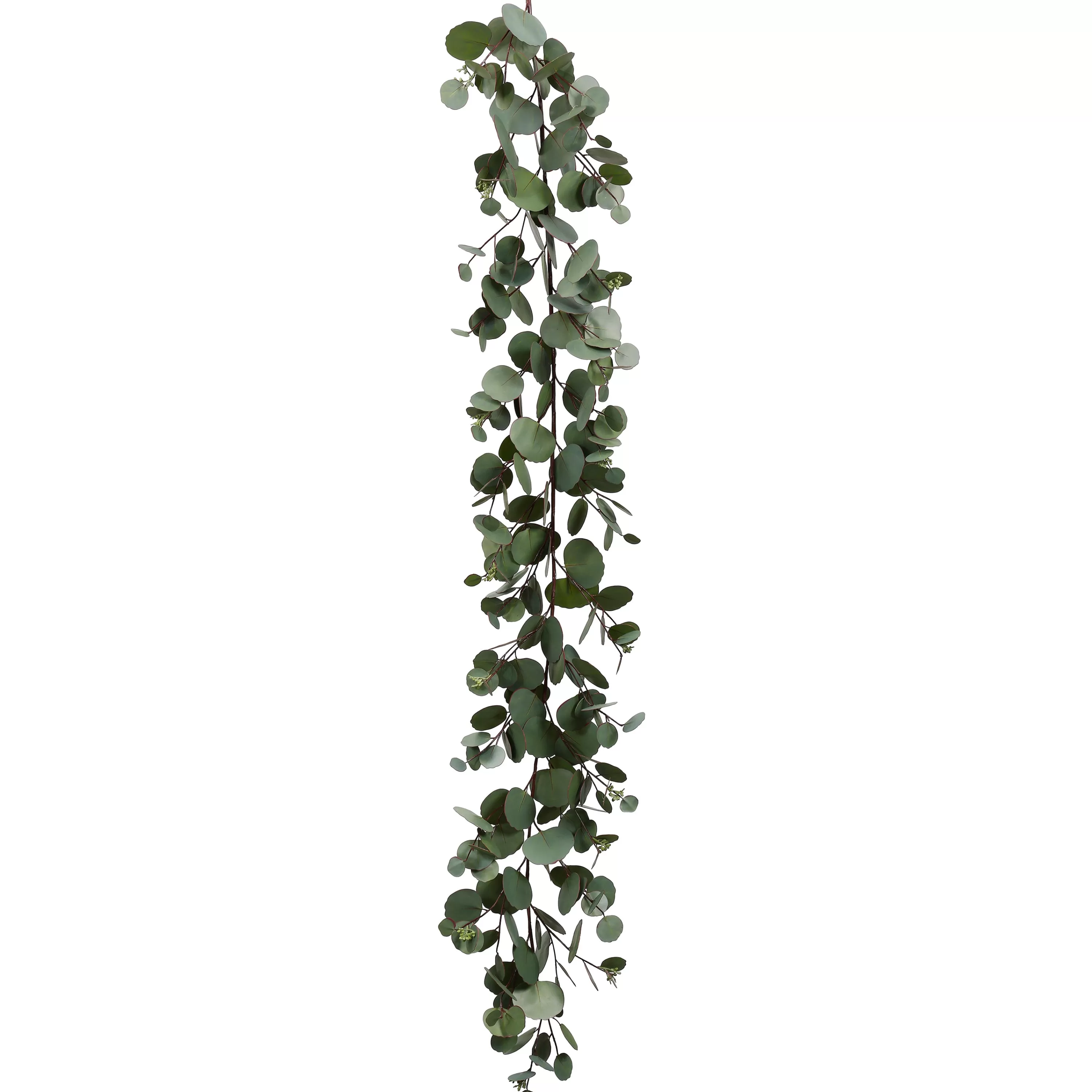 Outlet Seeded Eucalyptus Garland 5-ft long Wreaths & Garlands | Wreaths & Garlands