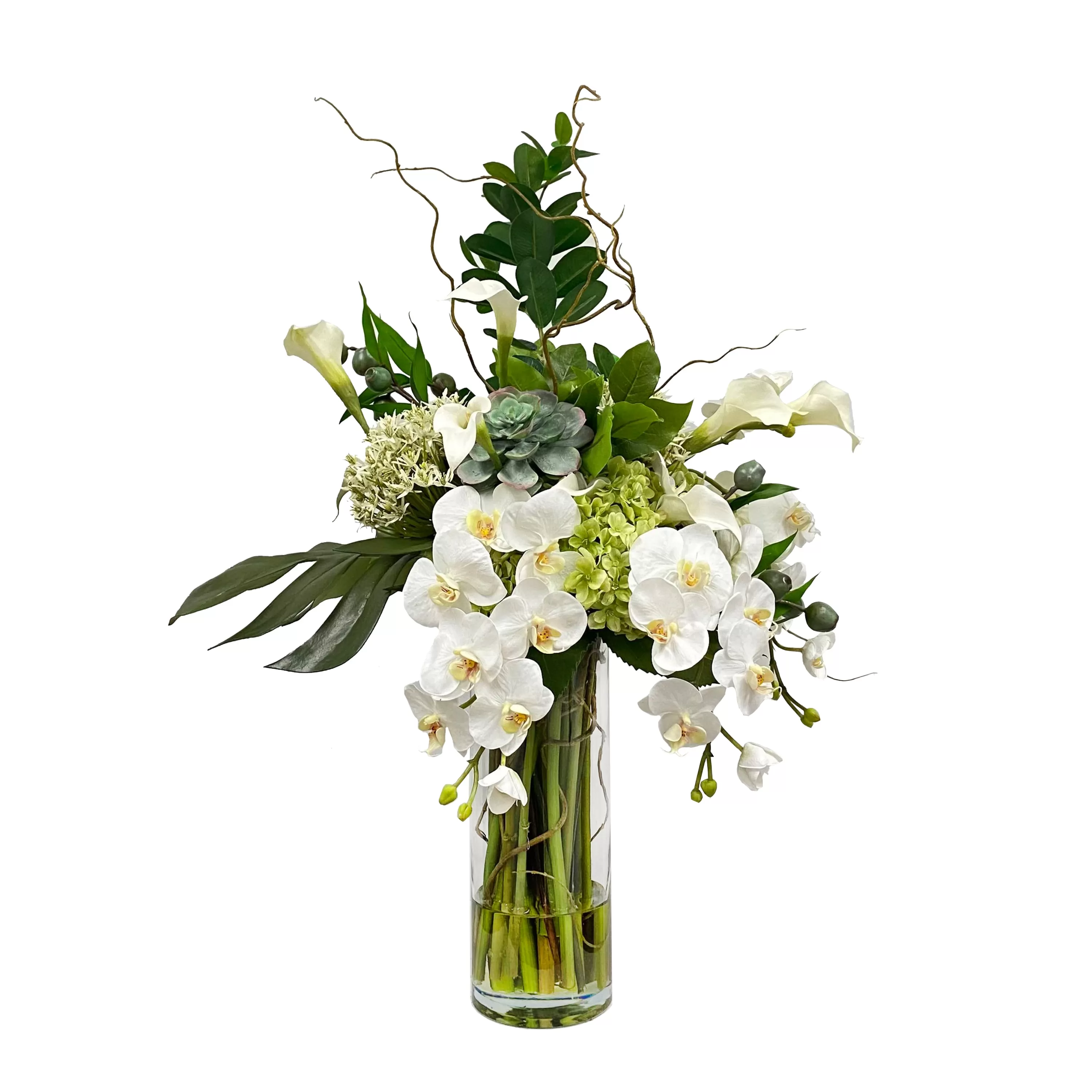 Hot Split Philo Orchid in Vase Succulent Arrangements | Tabletop