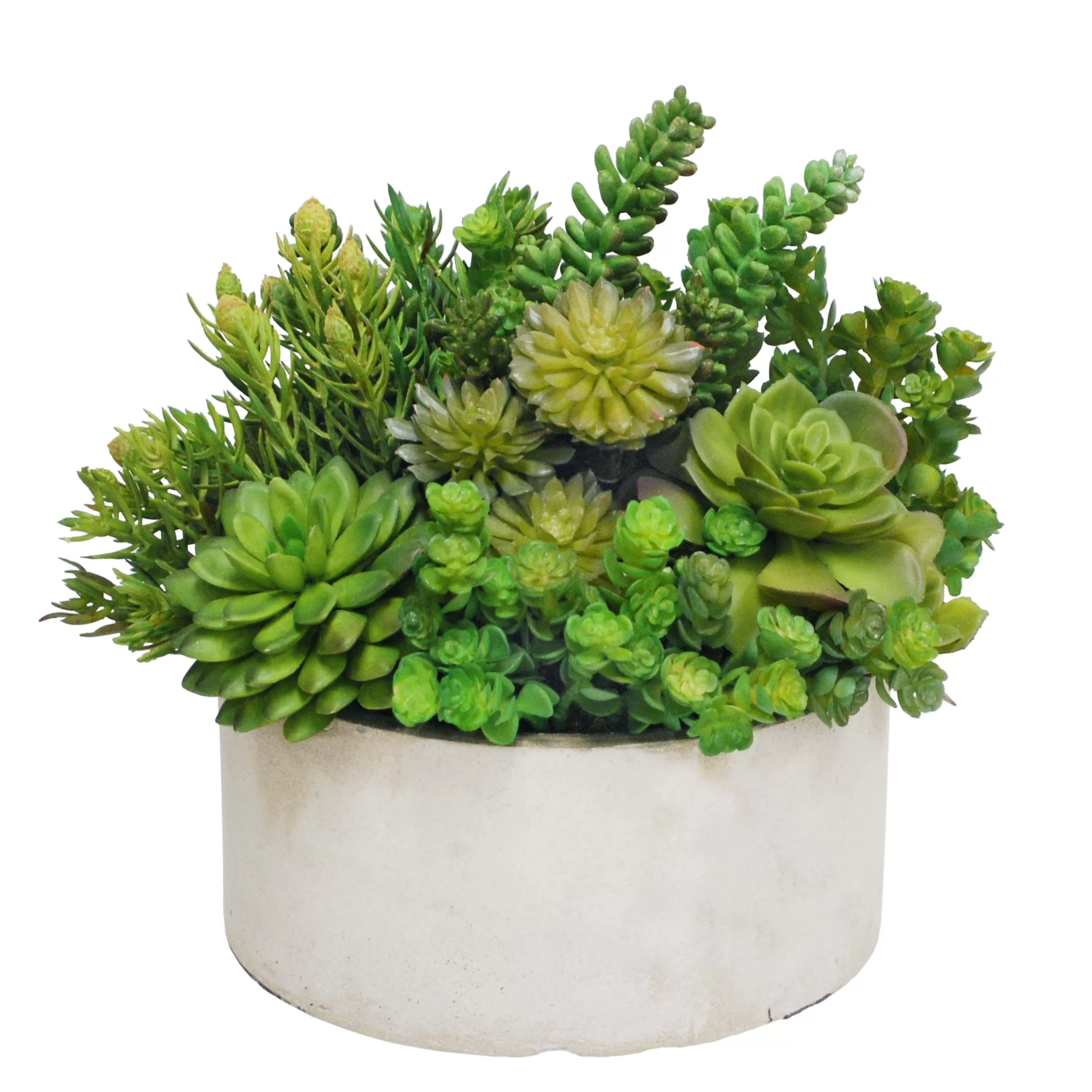 Cheap Succulent Garden Planter 14" Wide Succulent Arrangements | Tabletop