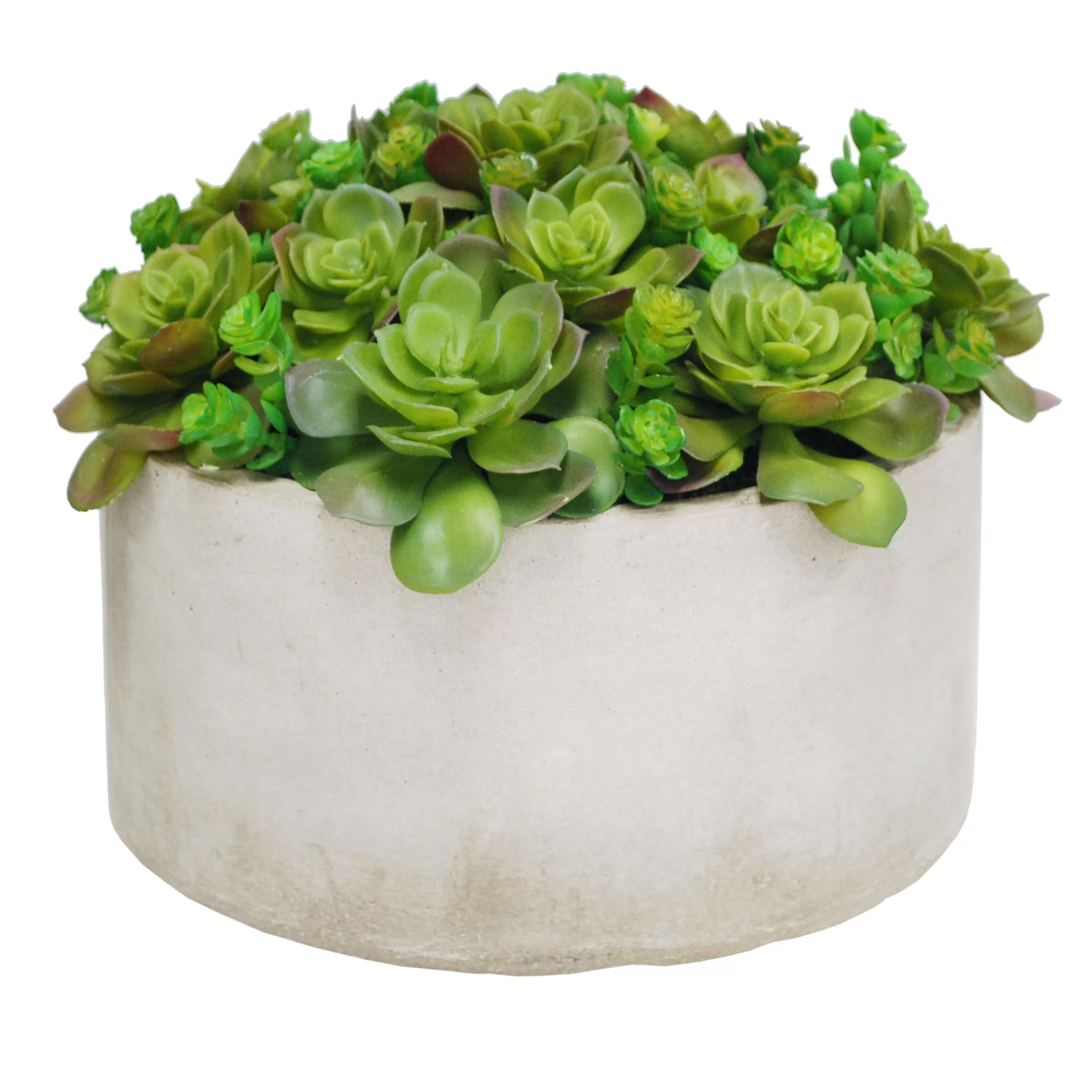 Sale SUCCULENT GARDEN PLANTER (WHD203-GRTP) Succulent Arrangements | Tabletop