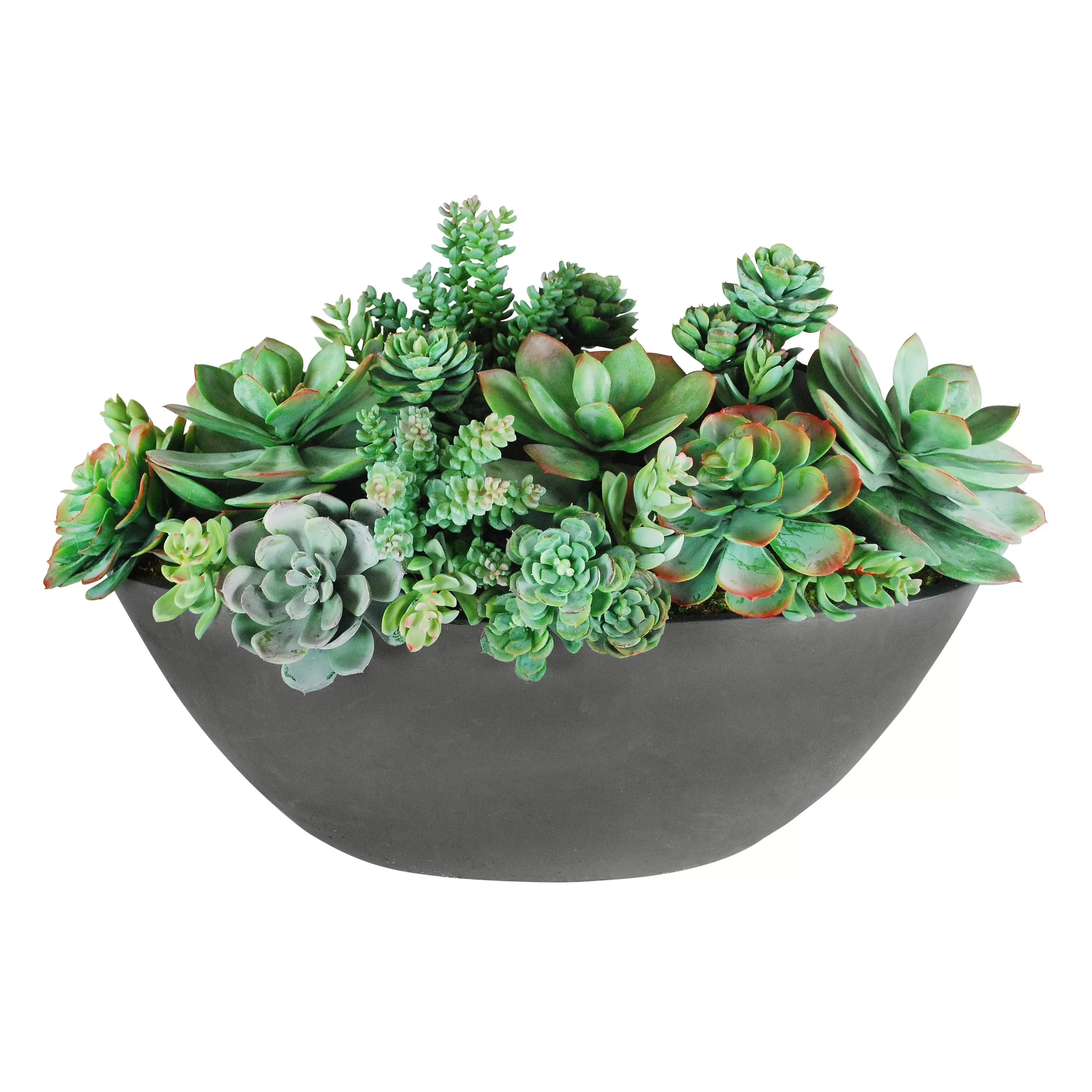 Store SUCCULENT MIX IN OVAL PLANTER 14" Succulent Arrangements | Outdoor Patio