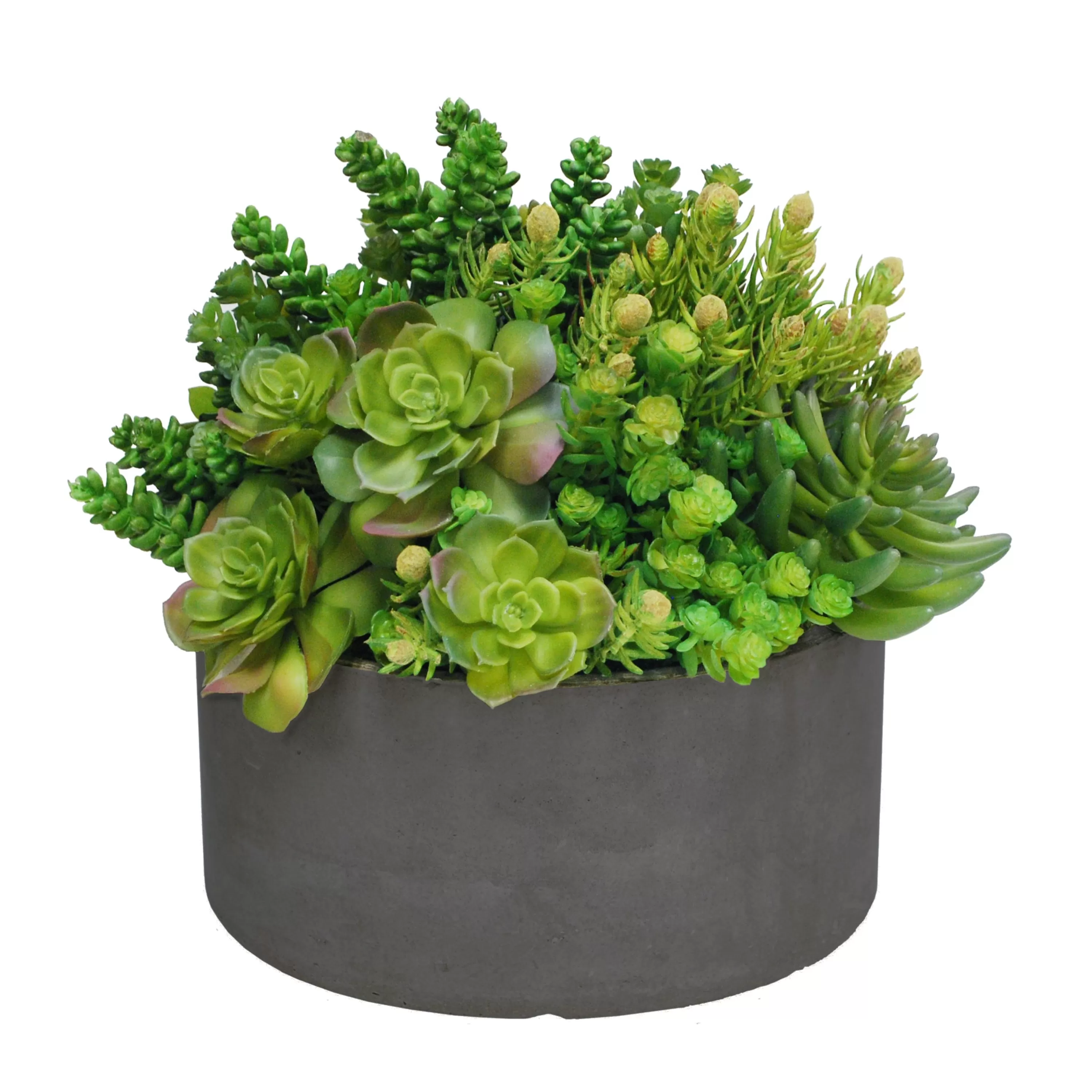 Store Succulent Tall Garden Planter 14" Succulent Arrangements | Outdoor Patio