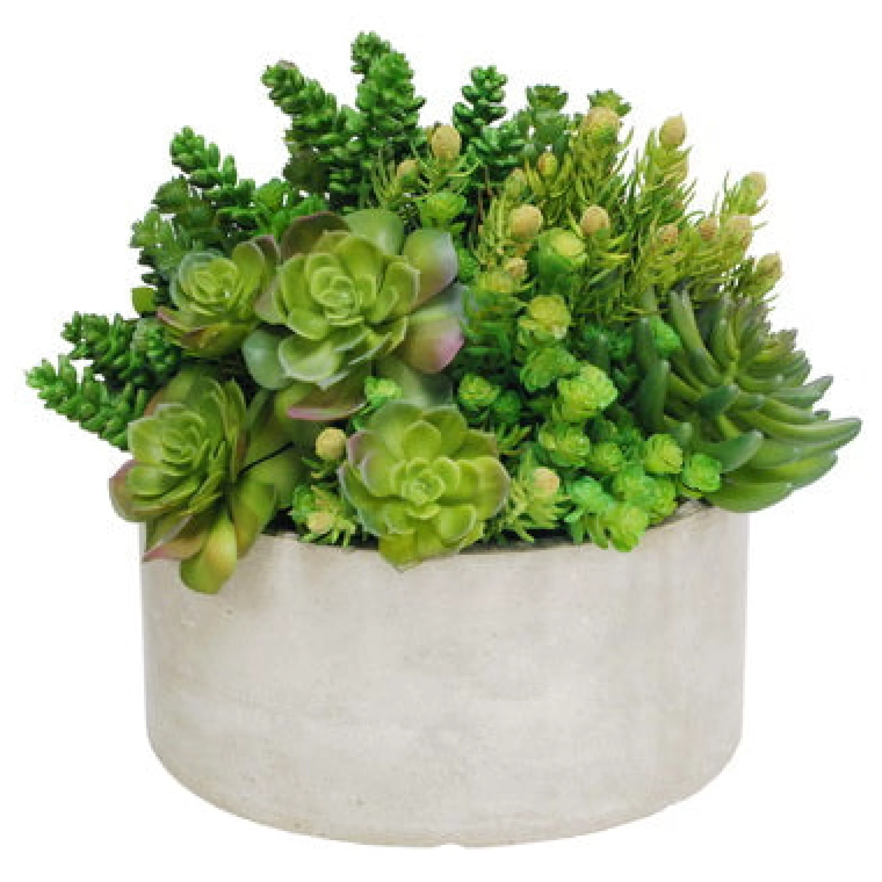 Fashion Succulent Tall Garden Planter 14" Succulent Arrangements | Outdoor Patio