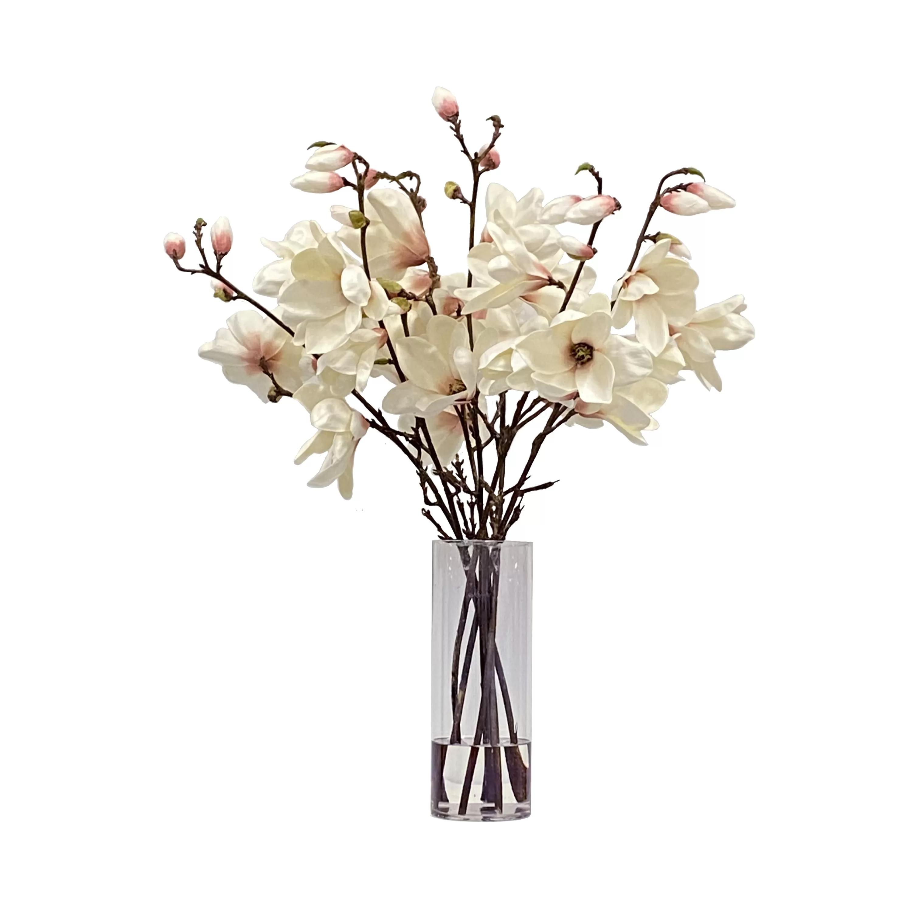 Cheap Tree Magnolia in Vase 34 Rutherford