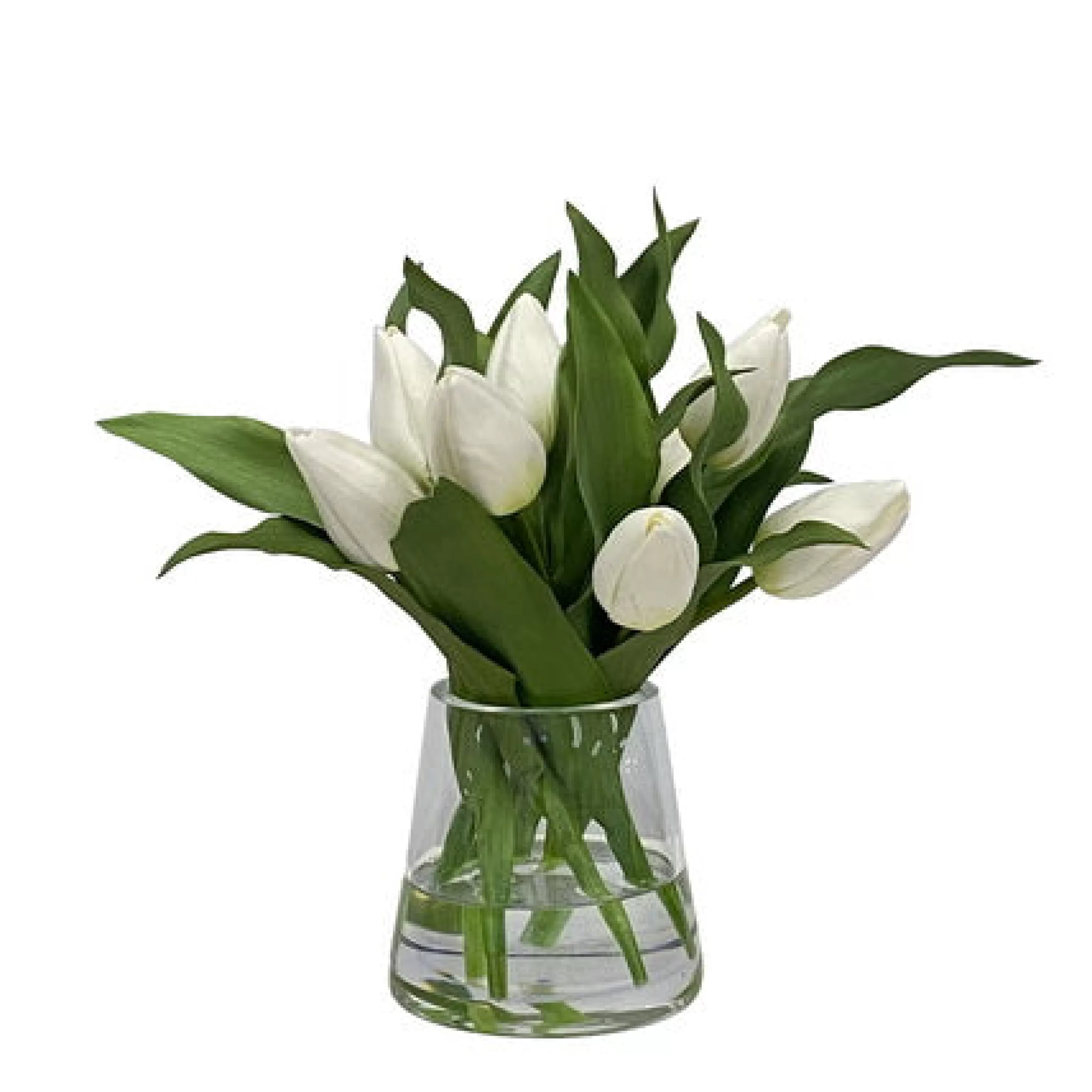 Clearance TULIP IN VASE 13'' Bianco