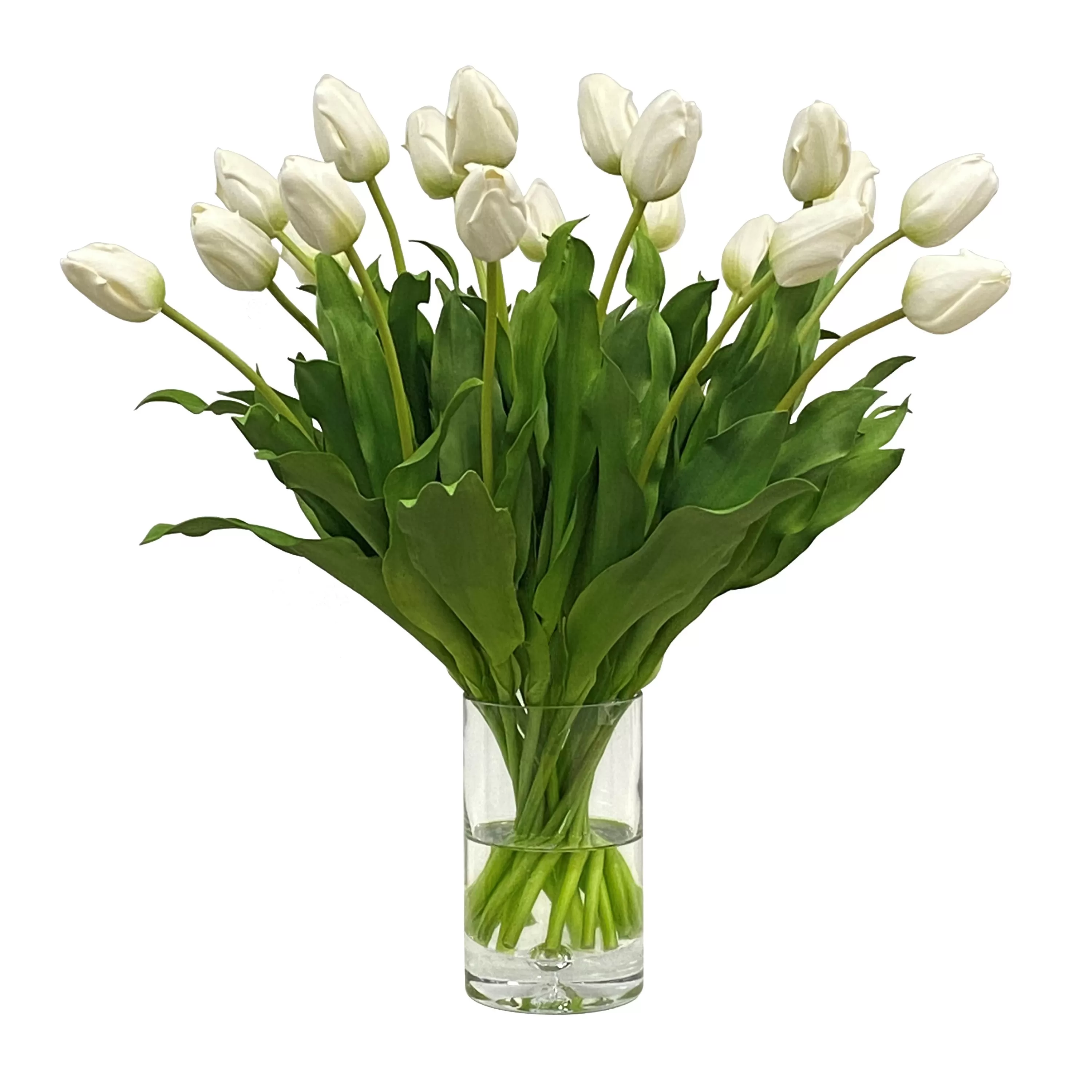 Cheap Tulip in Vase 25" Bianco