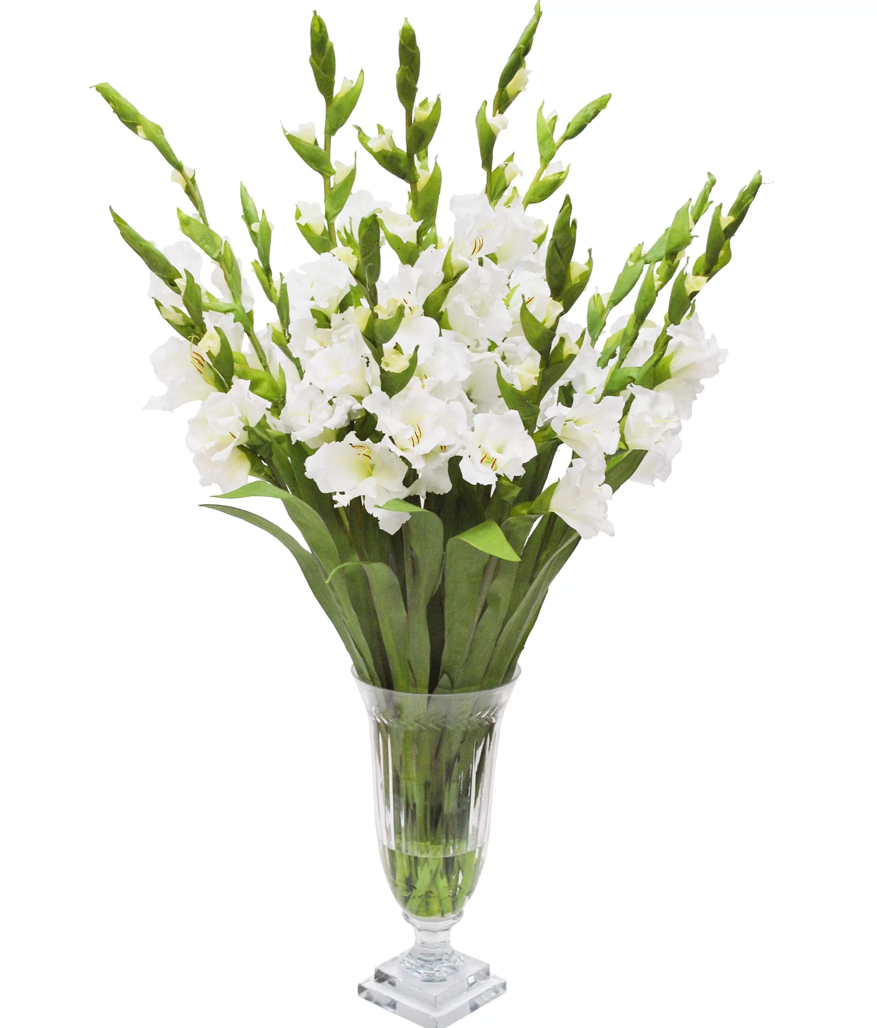 Flash Sale WHITE GLADIOLUS IN CUT VASE (WHD167-WH) Dining Centerpieces