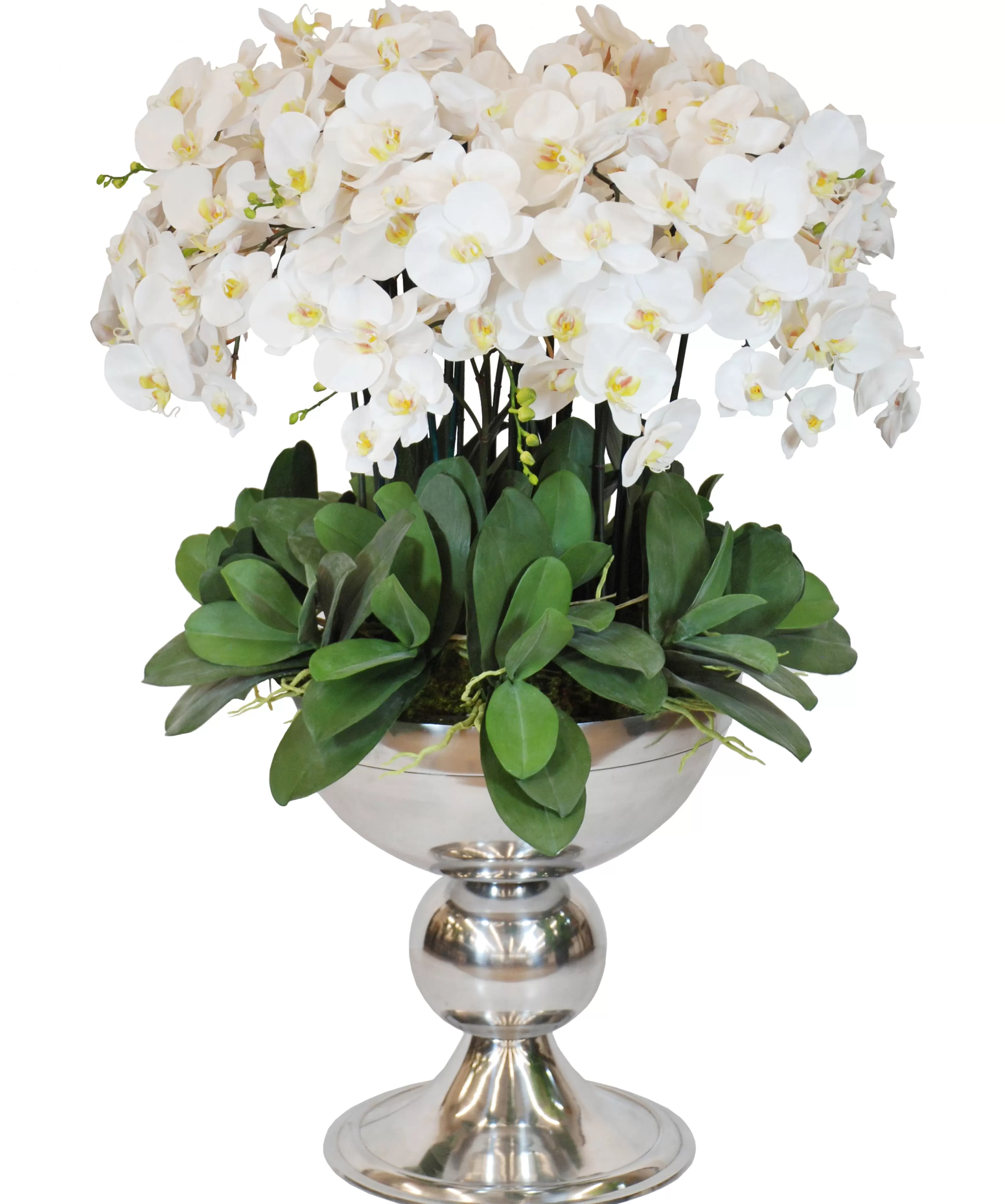 Flash Sale WHITE ORCHID ICON IN SILVER CONTAINER 48" Architectural Icons | Manhattan