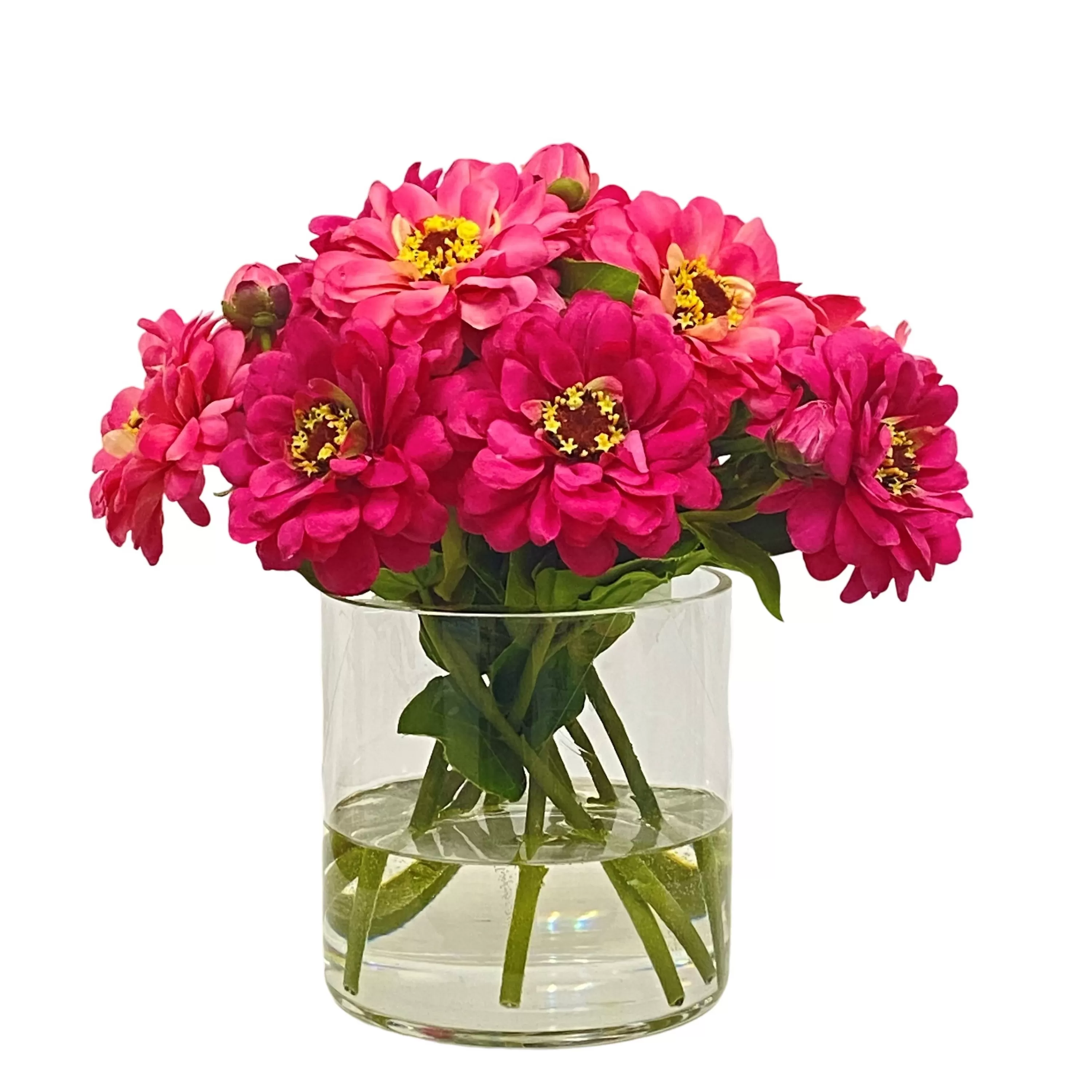 Fashion Zinnia in Cylinder 12" Vanity